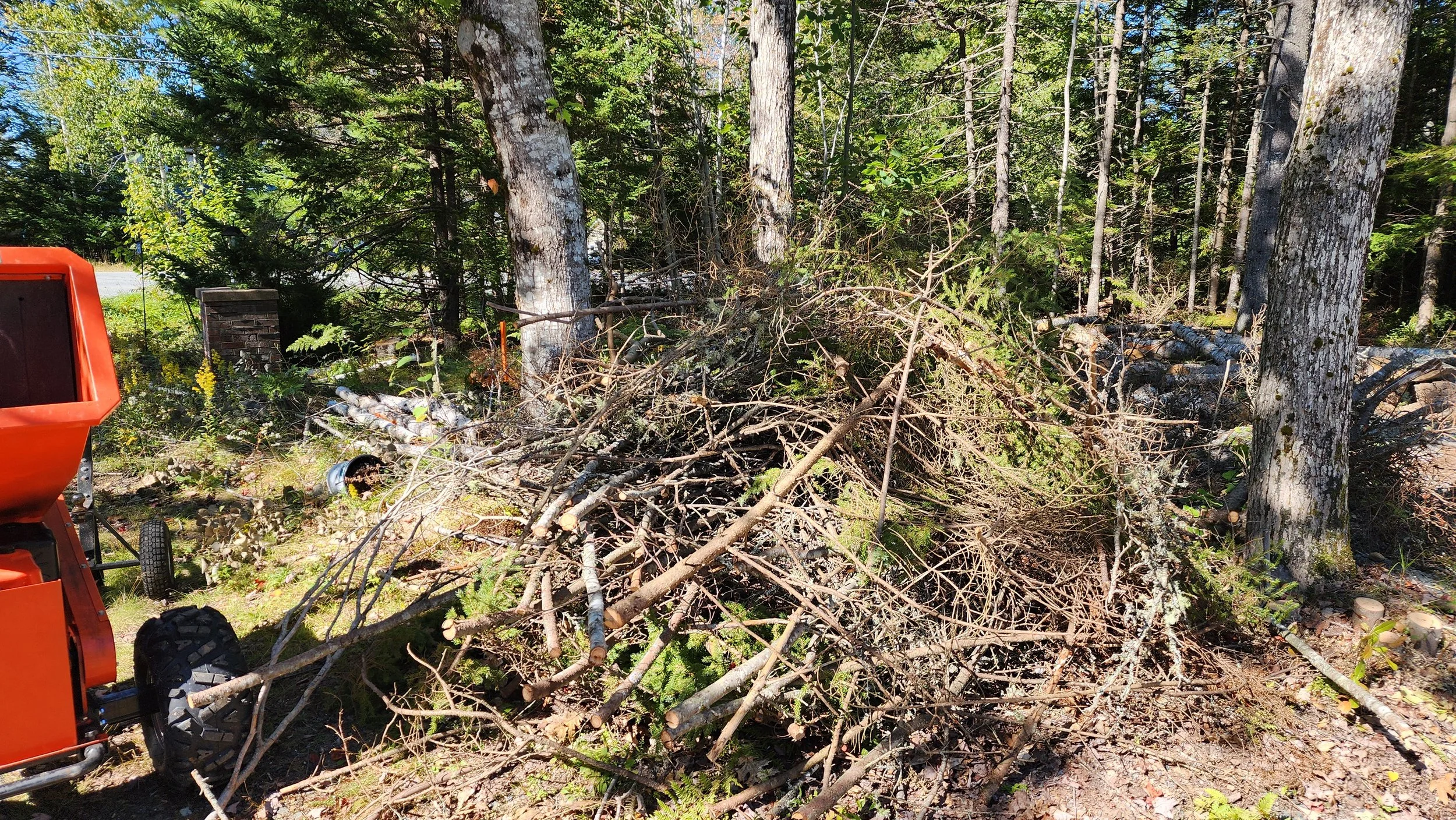 Just some piles of brush chipped and removed