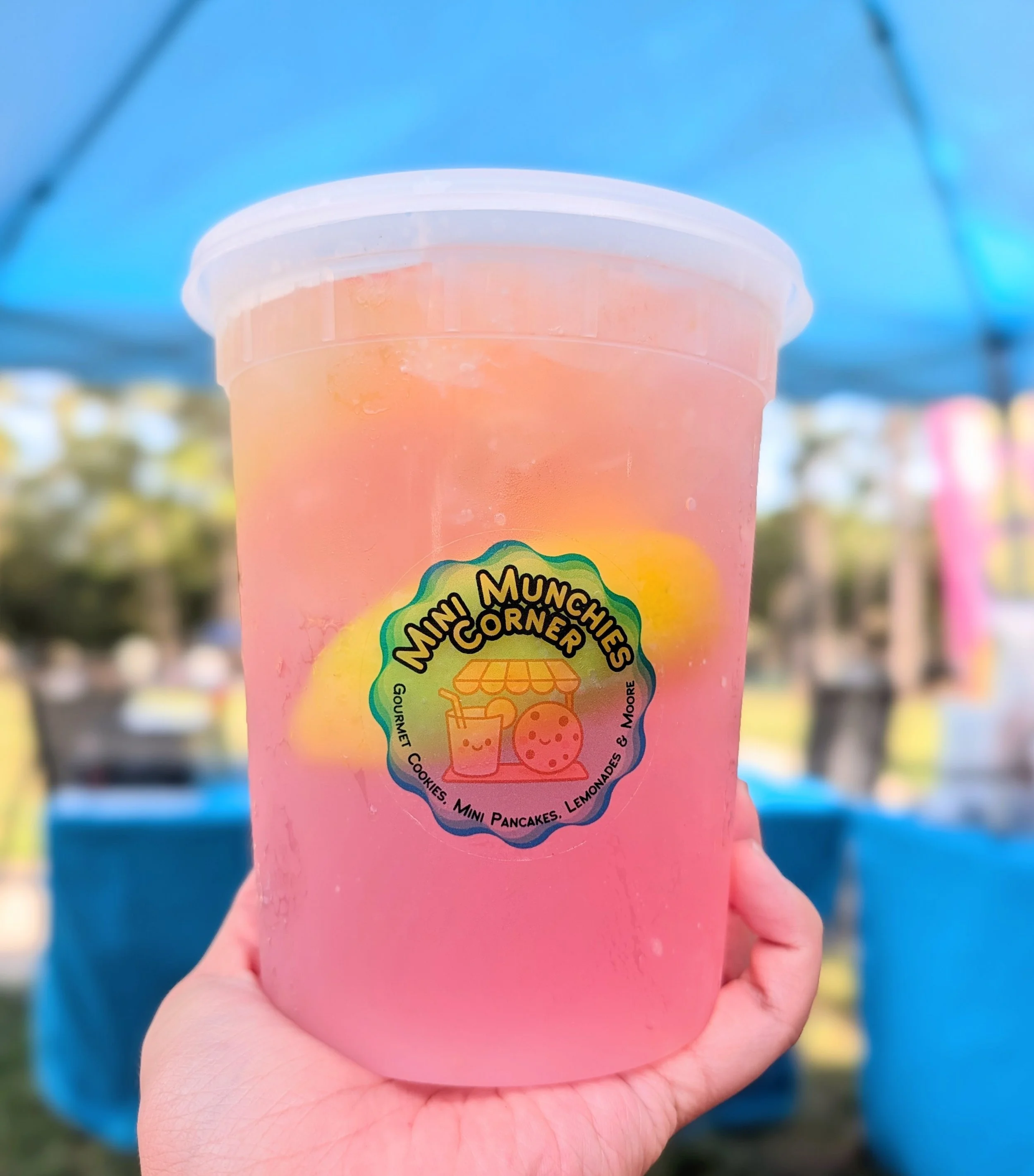 Lemonade Package - 10 cups