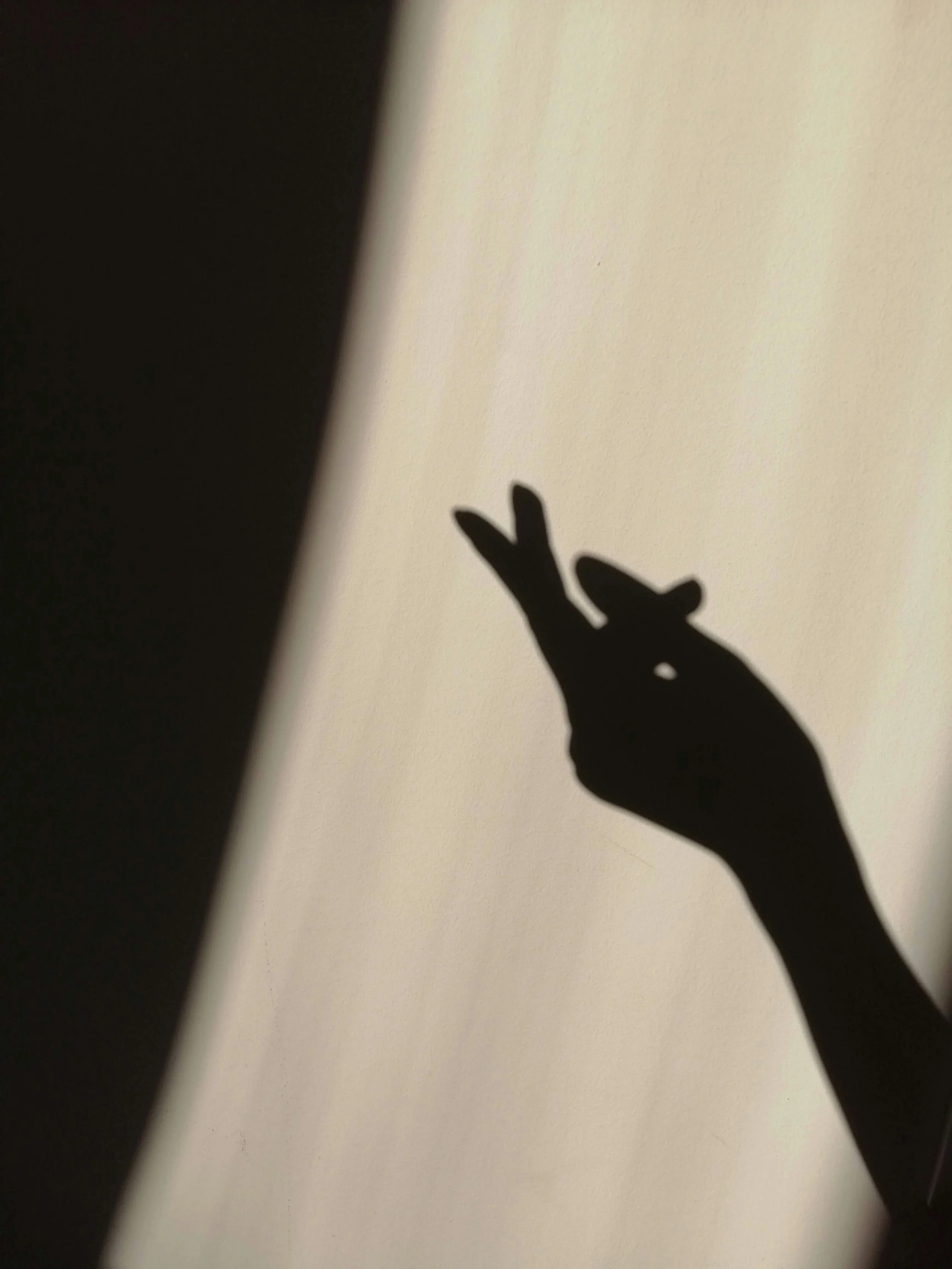 Shadow of a hand making a peace sign on a wall, with part of an object blocking part of the shadow.