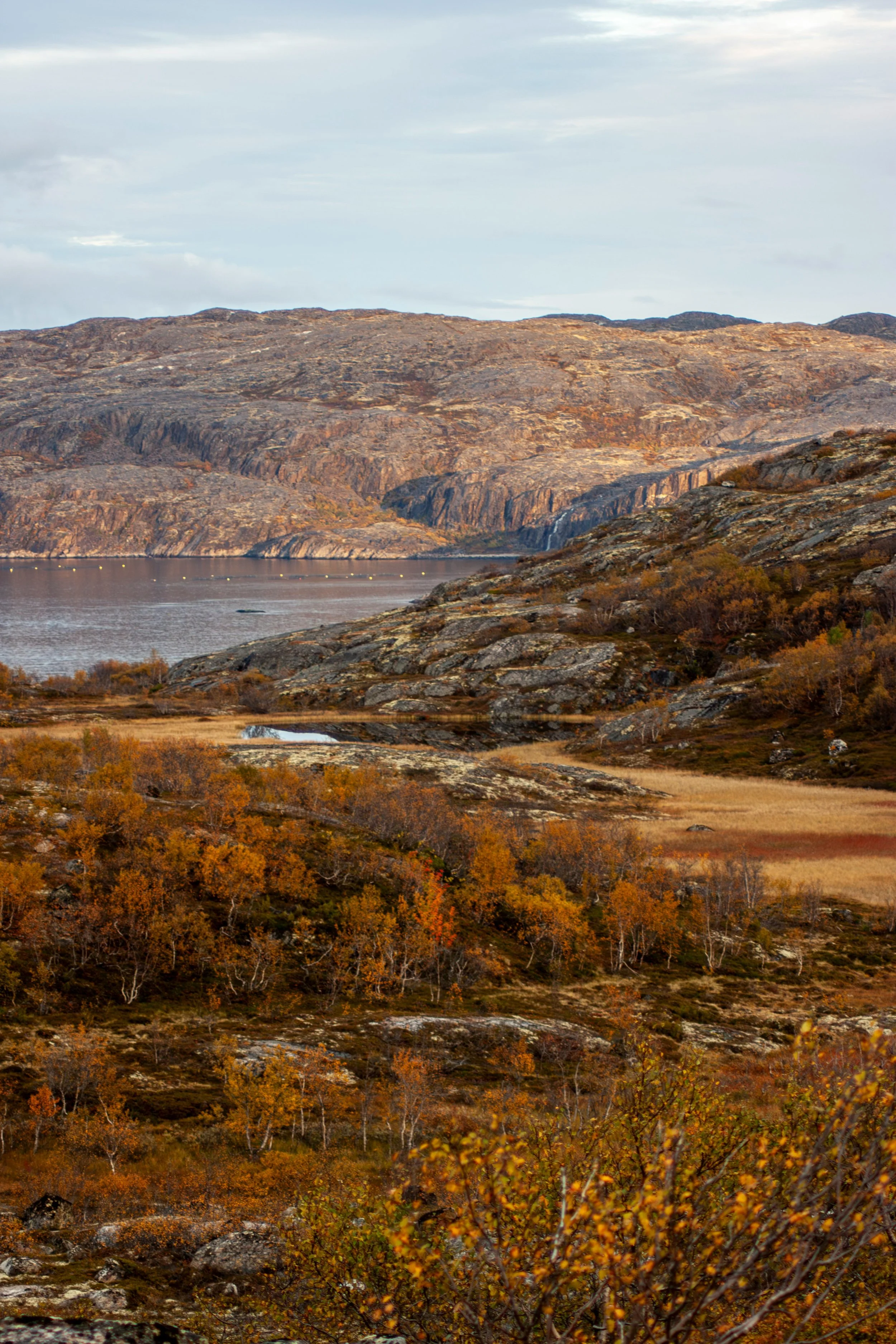 Scenic landscape of rocky hills and sparse autumn-colored trees near a body of water under a cloudy sky.