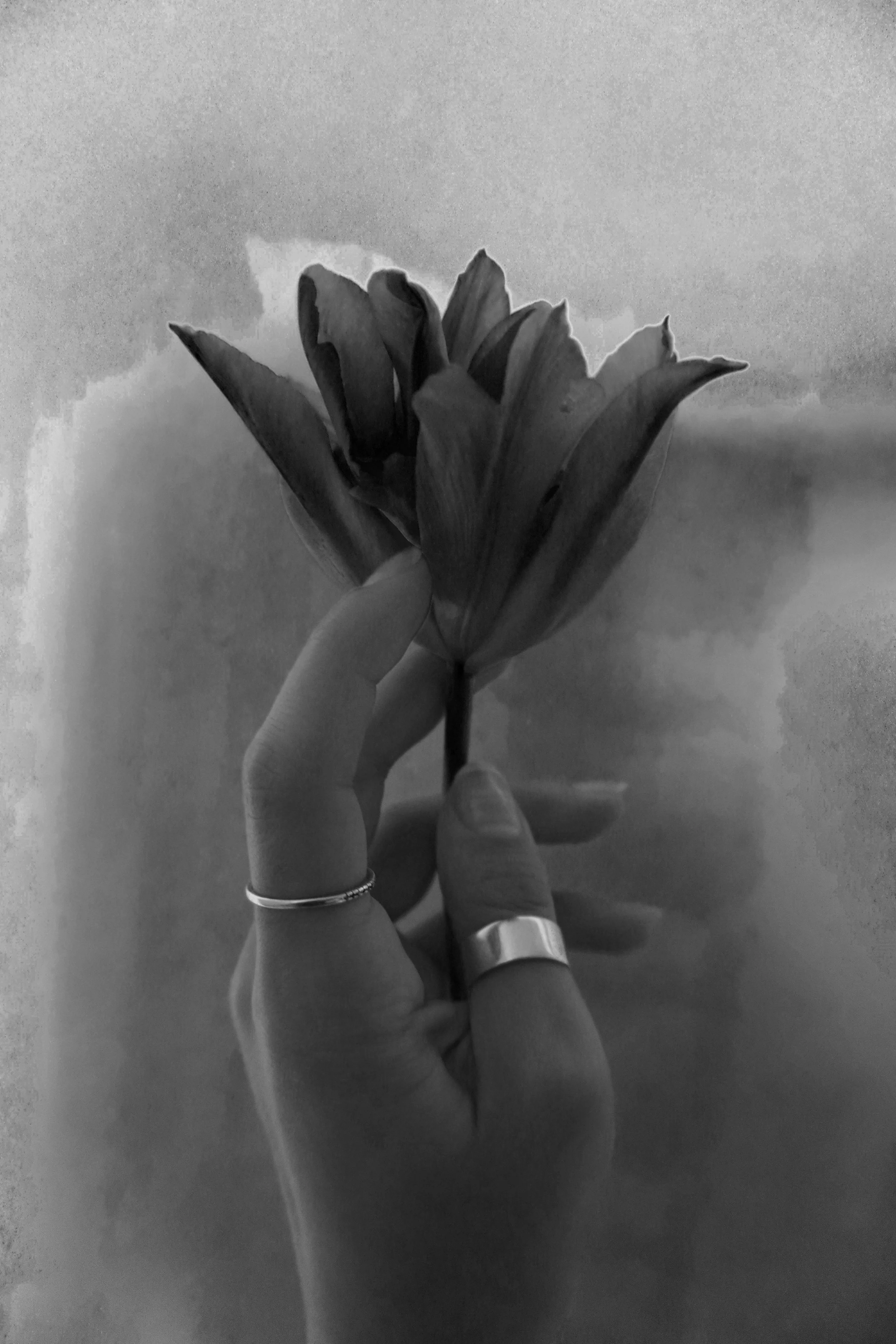 Black and white photo of a hand holding a flower with a cloudy sky in the background.