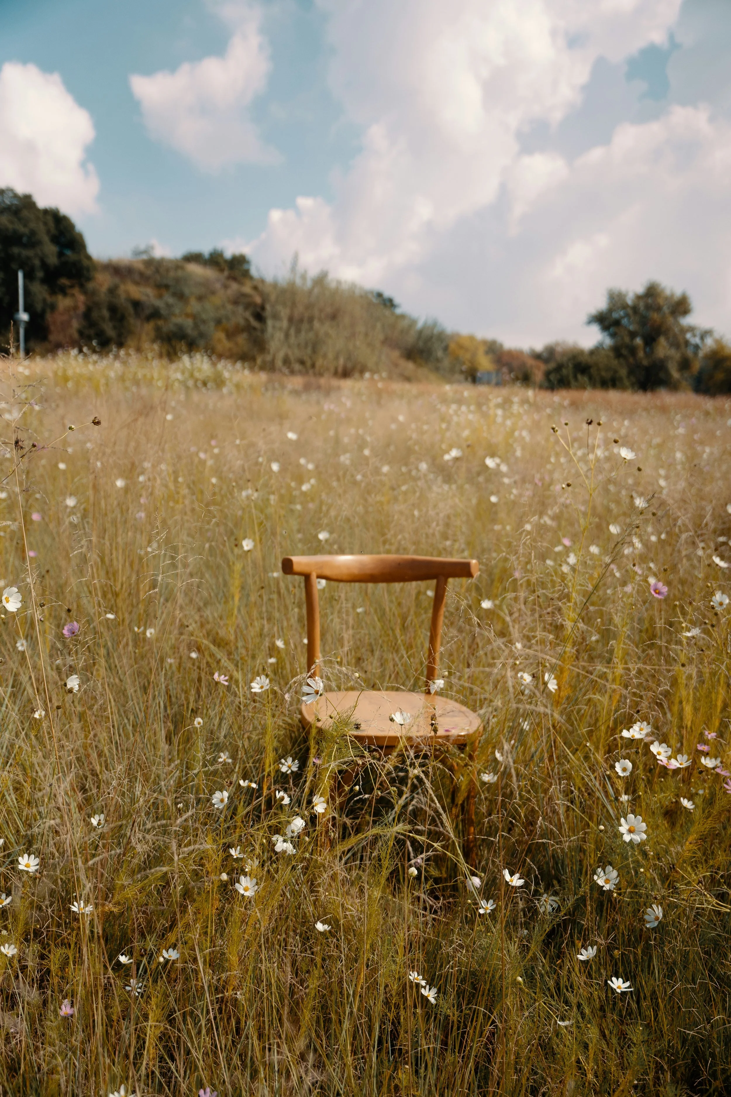A wooden chair in a field of tall grass and white flowers, with trees and a hill in the background under a partly cloudy sky.