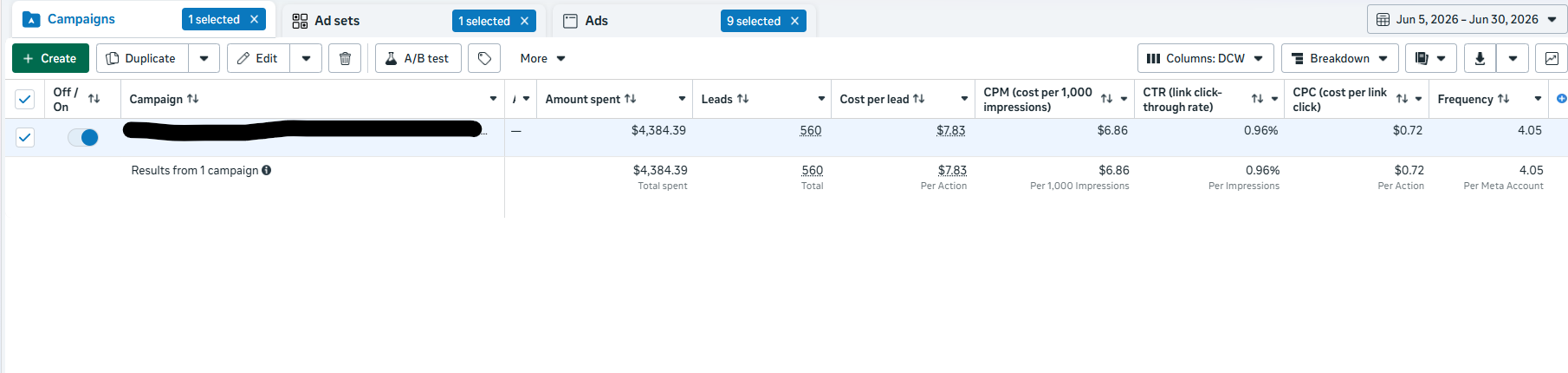 Meta Leads Campaign