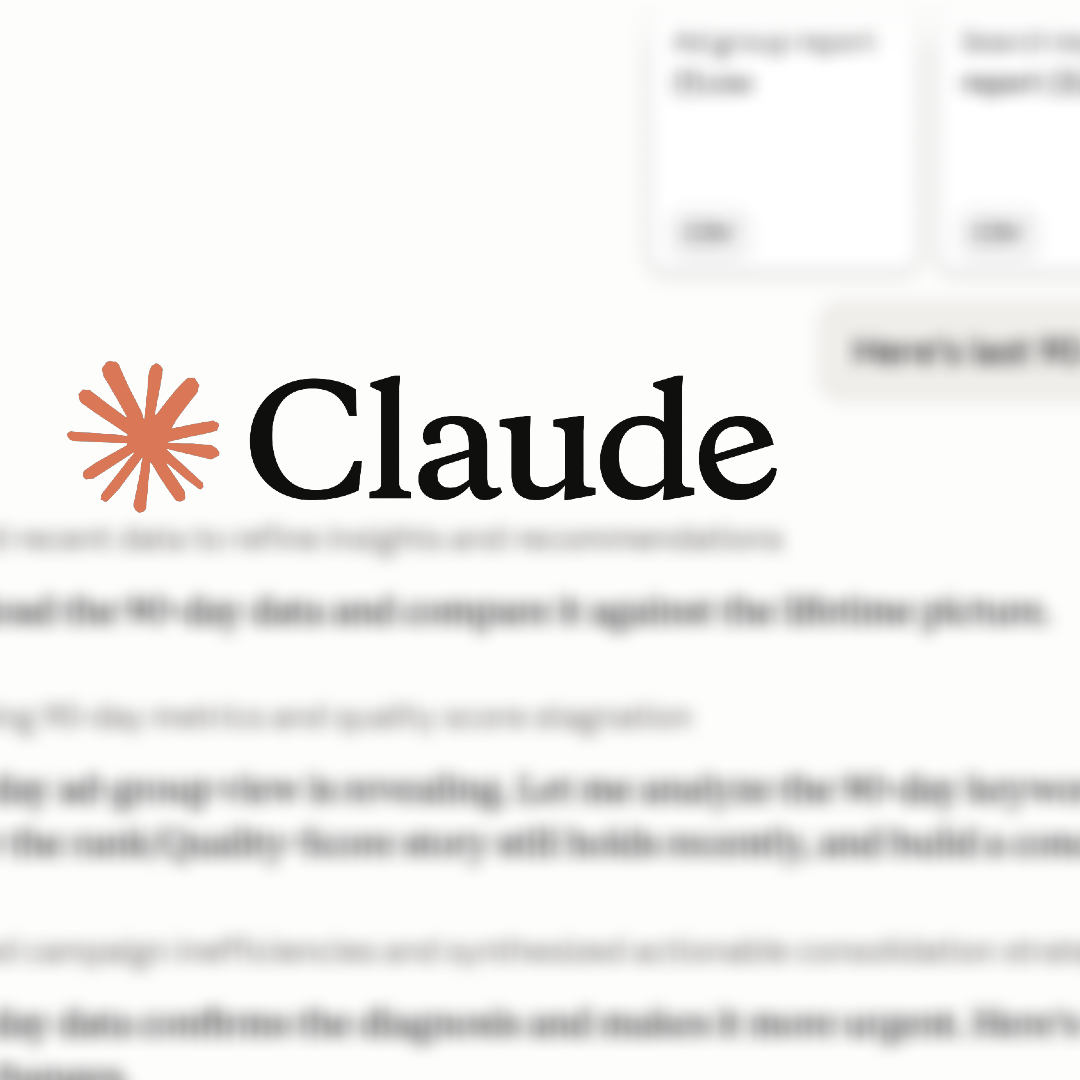 Claude Analyzes Google Ad Data