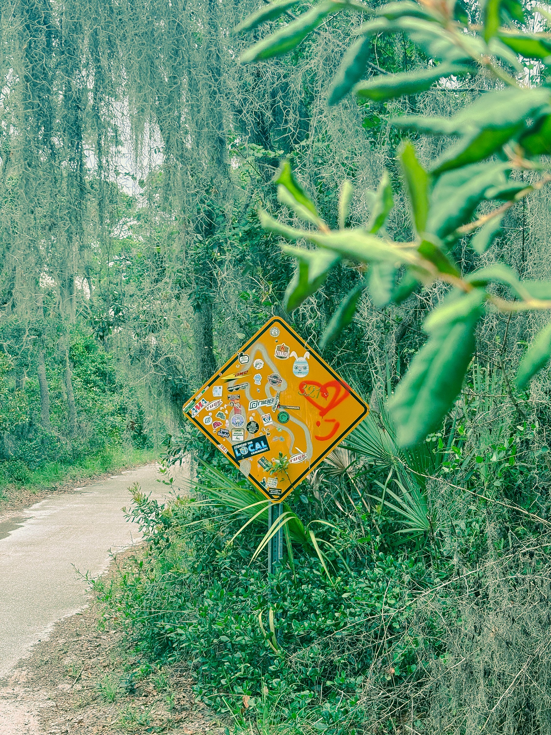IMG_8402.jpg