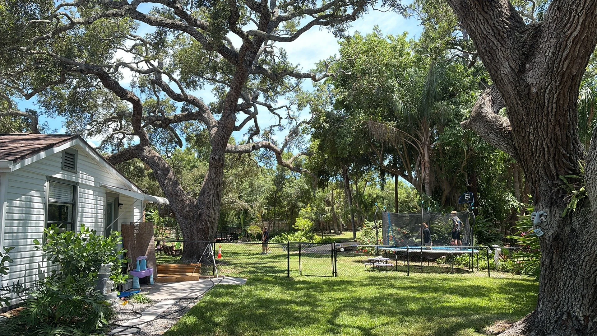 A backyard scene with a white house on the left, large trees with sprawling branches, a green lawn, and a fenced area with children playing on a trampoline surrounded by tall trees.
