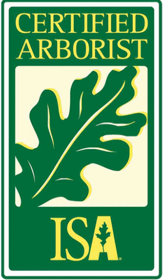 Certified Arborist ISA badge with a large oak leaf in green and yellow lettering.