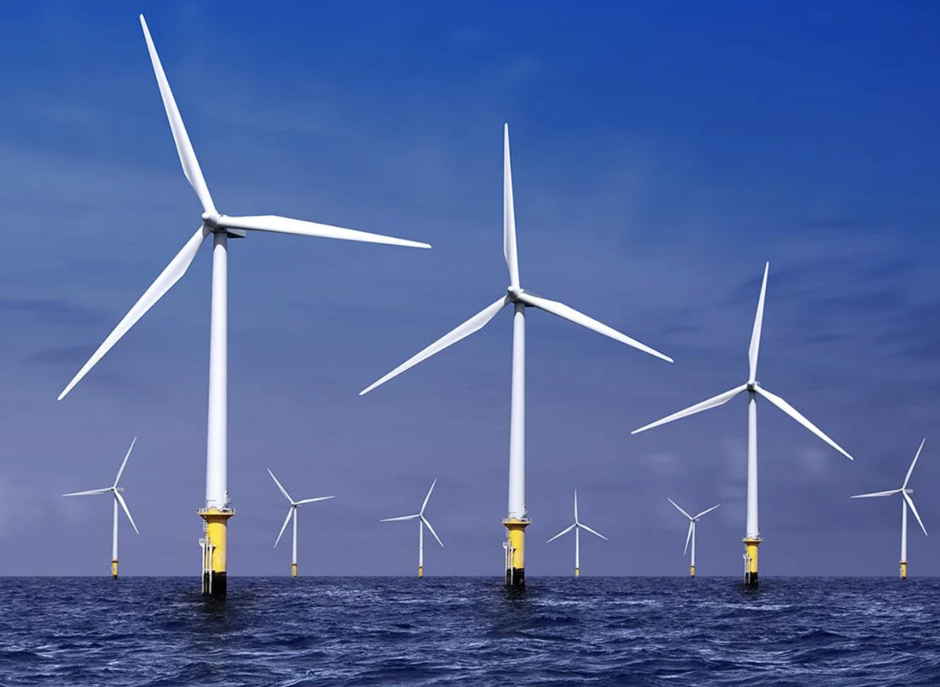 OCEANTIC NETWORK:  MEMBERSHIP APPEAL