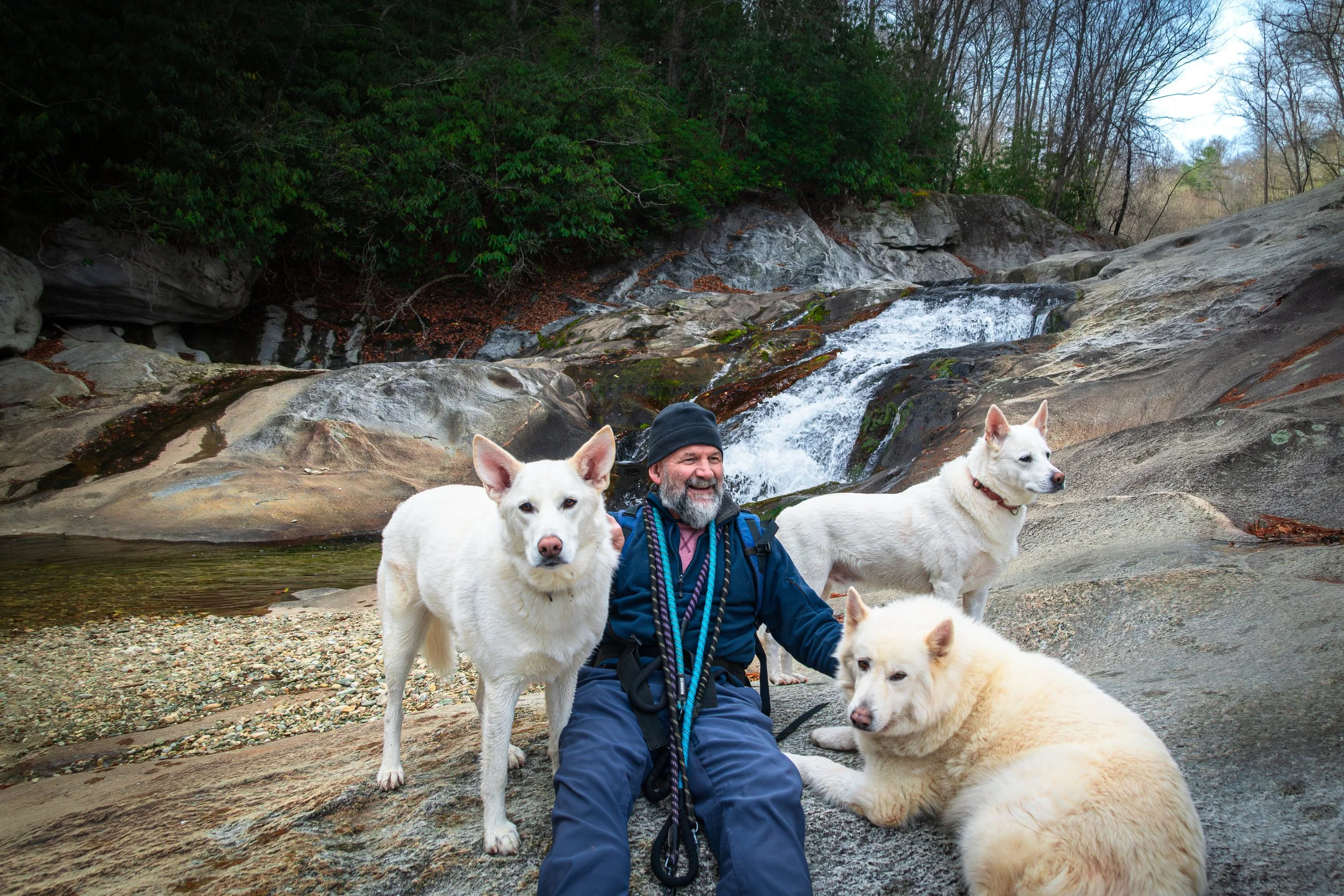 A man wearing a black beanie and blue jacket sitting on rocks by a waterfall, surrounded by five white dogs in an outdoor natural setting with trees and flowing water in the background.