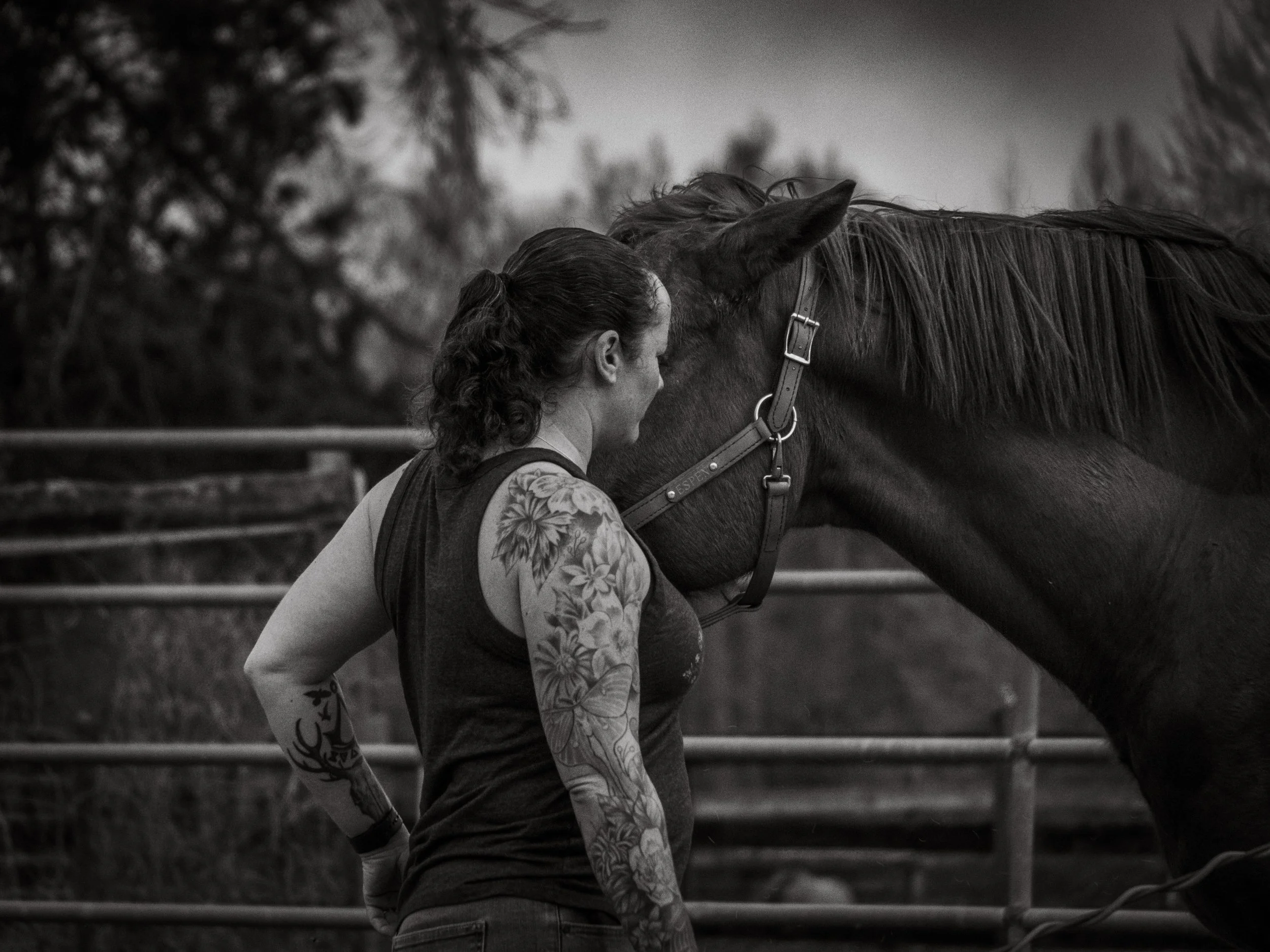 A woman with tattoos on her arm and curly hair underneath a ponytail is standing next to a horse, touching its forehead, in an outdoor setting with trees and a fence in the background.