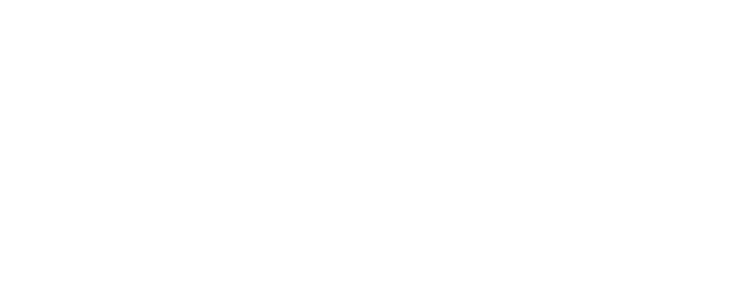 Adam and the Elephants