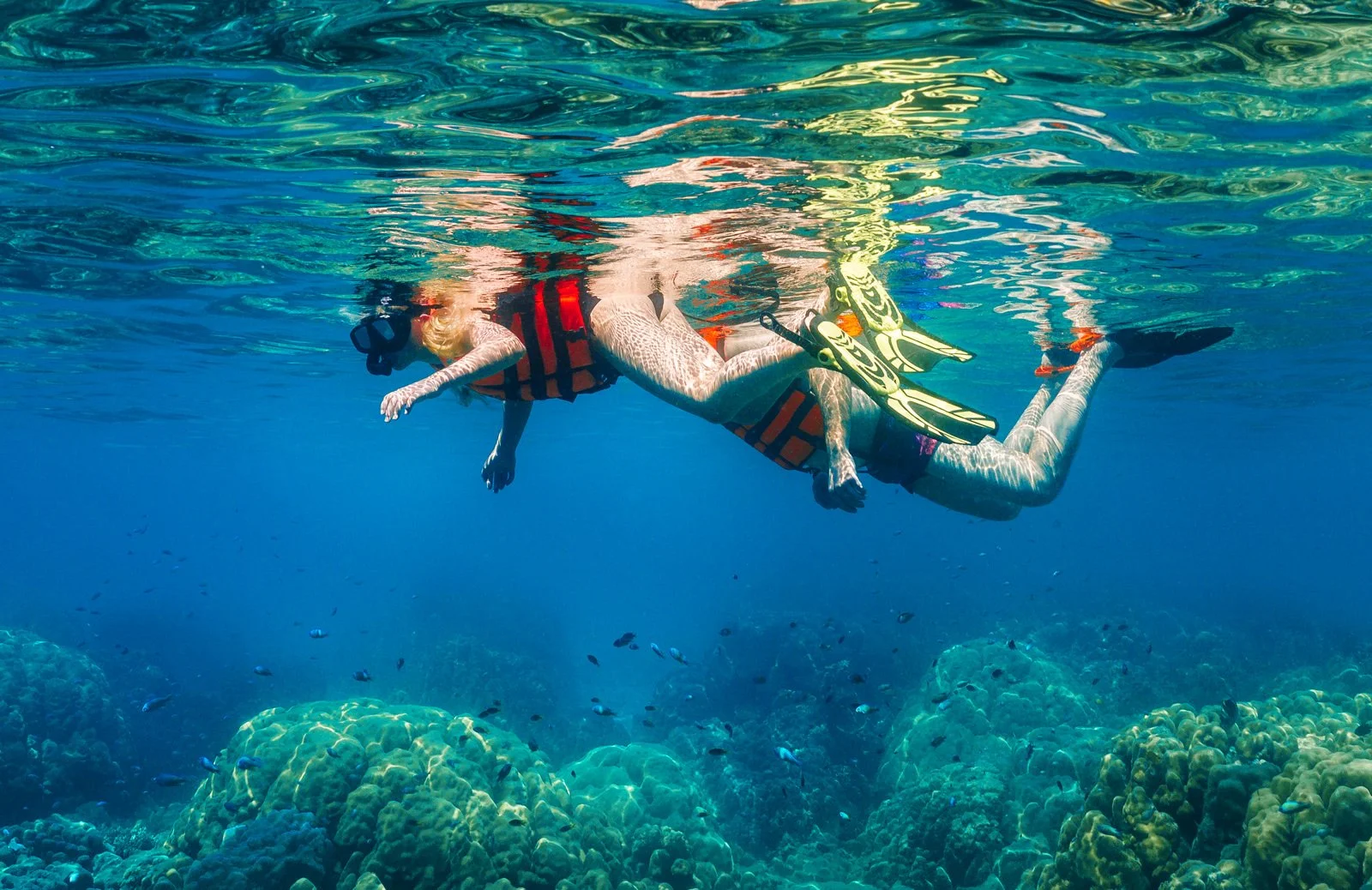 Person snorkeling underwater near coral reef, wearing a life vest and snorkeling mask, using fins.