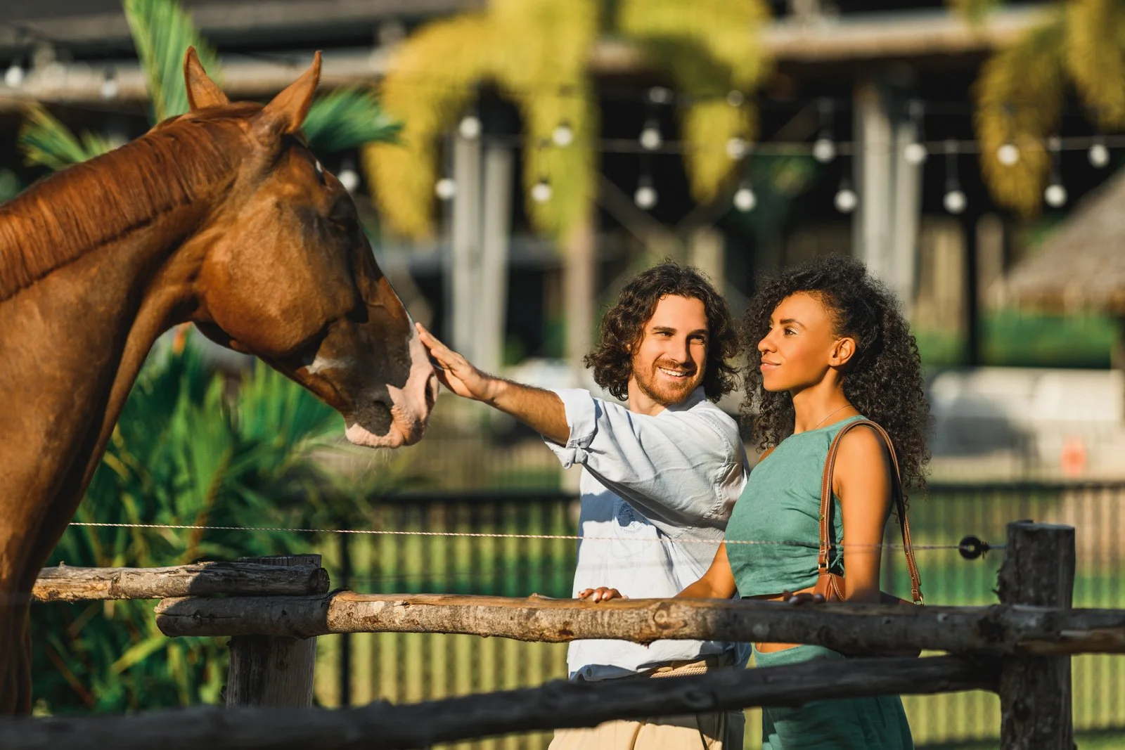 A man and woman at a petting zoo feeding a horse behind a wooden fence with lush greenery and palm trees in the background.