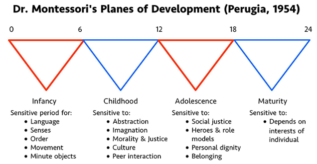 Diagram titled 'Dr. Montessori's Planes of Development (Perugia, 1954)', showing four triangles in a horizontal row labeled 'Infancy', 'Childhood', 'Adolescence', and 'Maturity'. Each triangle has a description of sensitivities and focuses for each development stage, with different colored borders (red or blue).