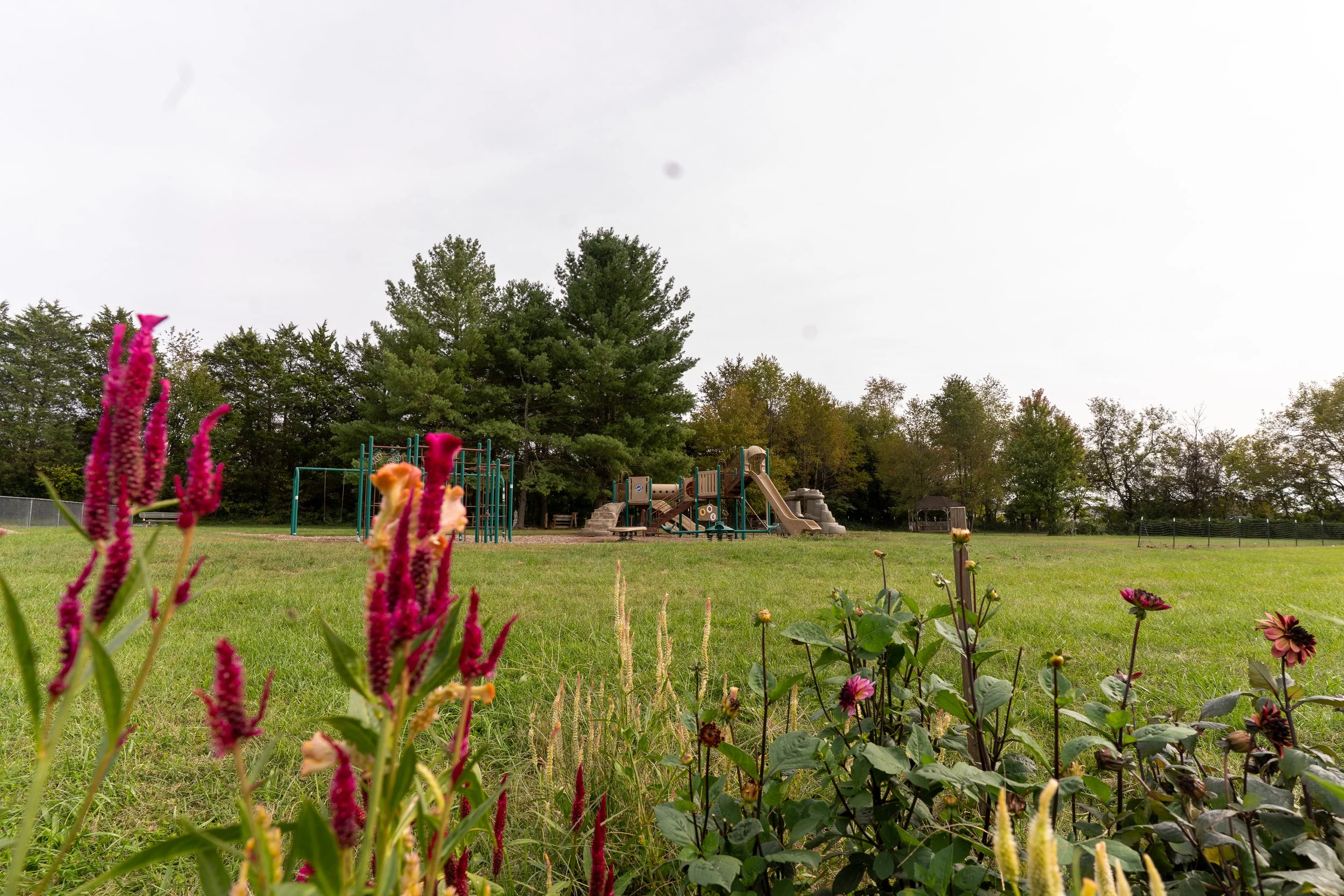 RMS environments - campus-5.jpg