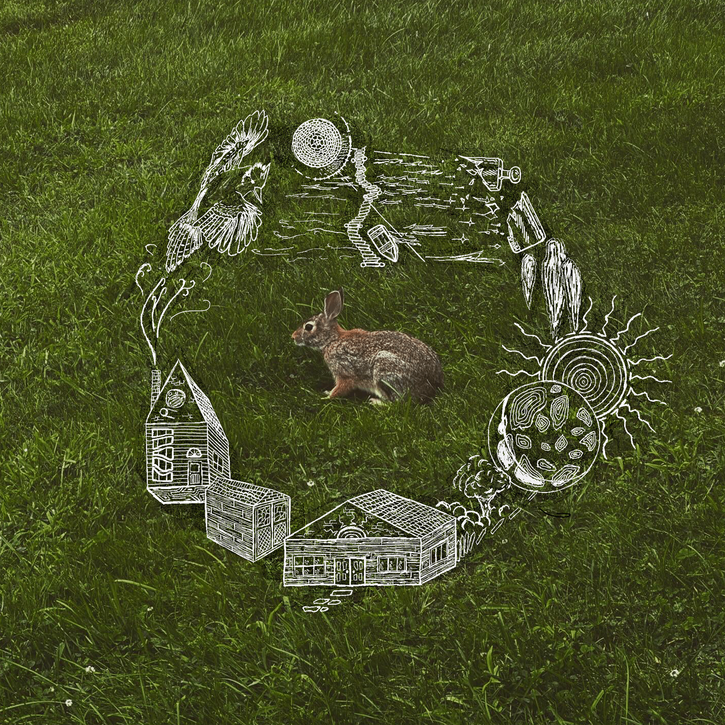 Illustration of a house, tree, and other structures drawn over a grassy field with white lines.