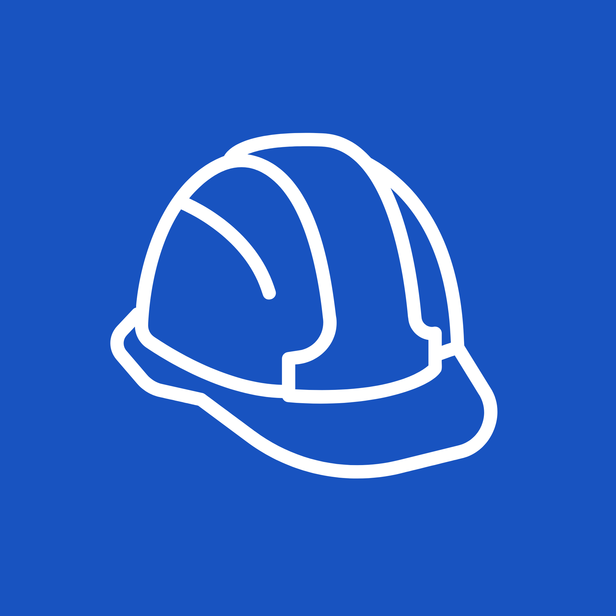 Fully Trained scaffolding Team