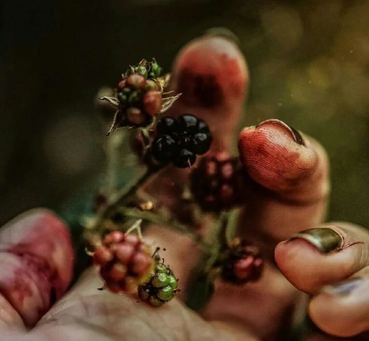 Blackberries