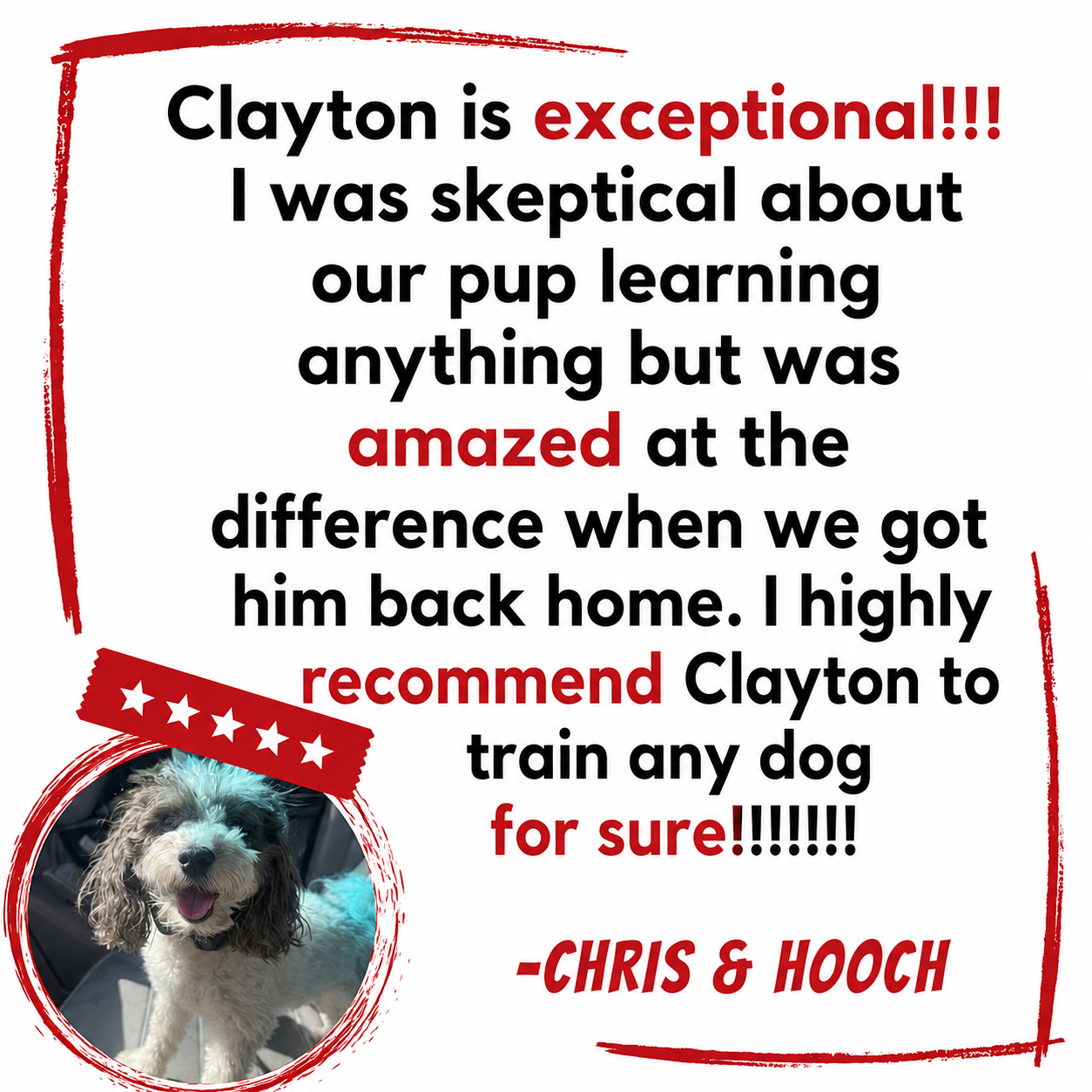 Testimonial for dog trainer Clayton, praising his effectiveness with a photo of a happy dog, with red and black text and decorative elements.