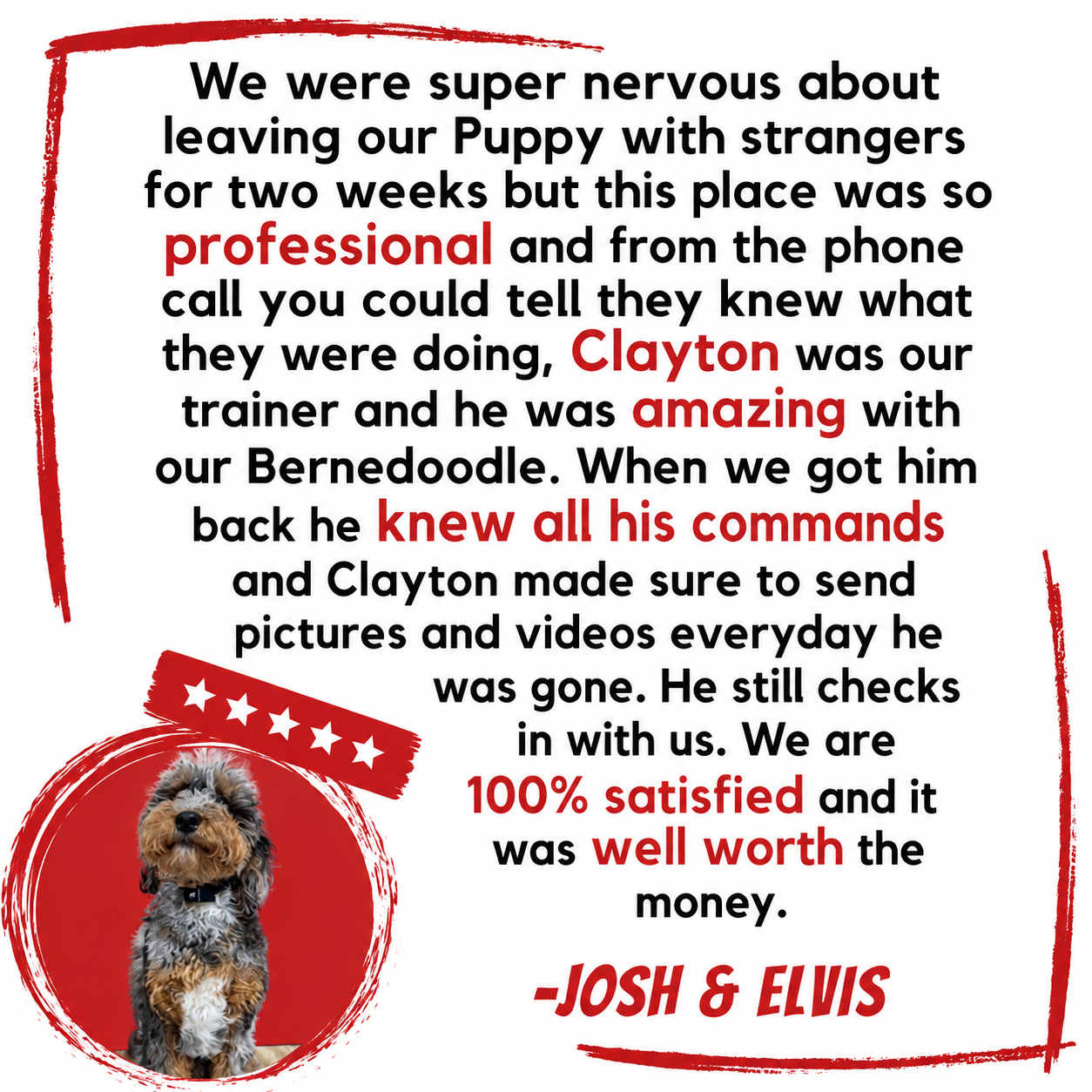 Testimonial about a dog trainer with a picture of a small dog inside a red circle and stars above it.