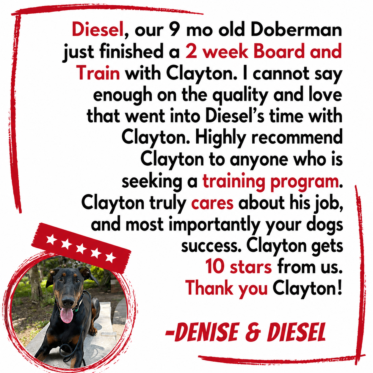 A pet testimonial letter with red and black text on a white background, featuring a photo of a Doberman dog named Diesel with a medal of five stars.