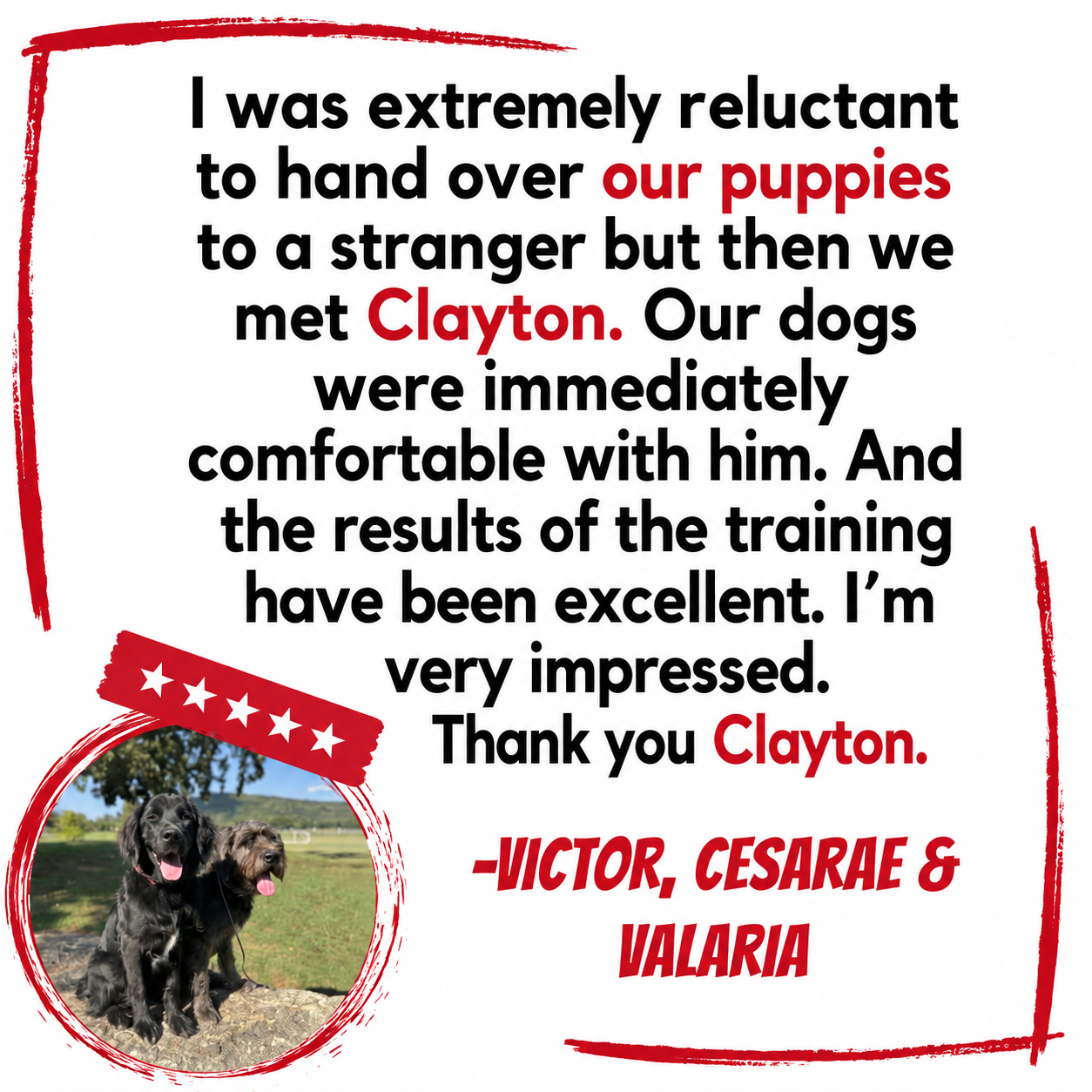 A testimonial letter praising Clayton for dog training, with a photo of two black dogs sitting outdoors on grass, and decorative red and white accents.