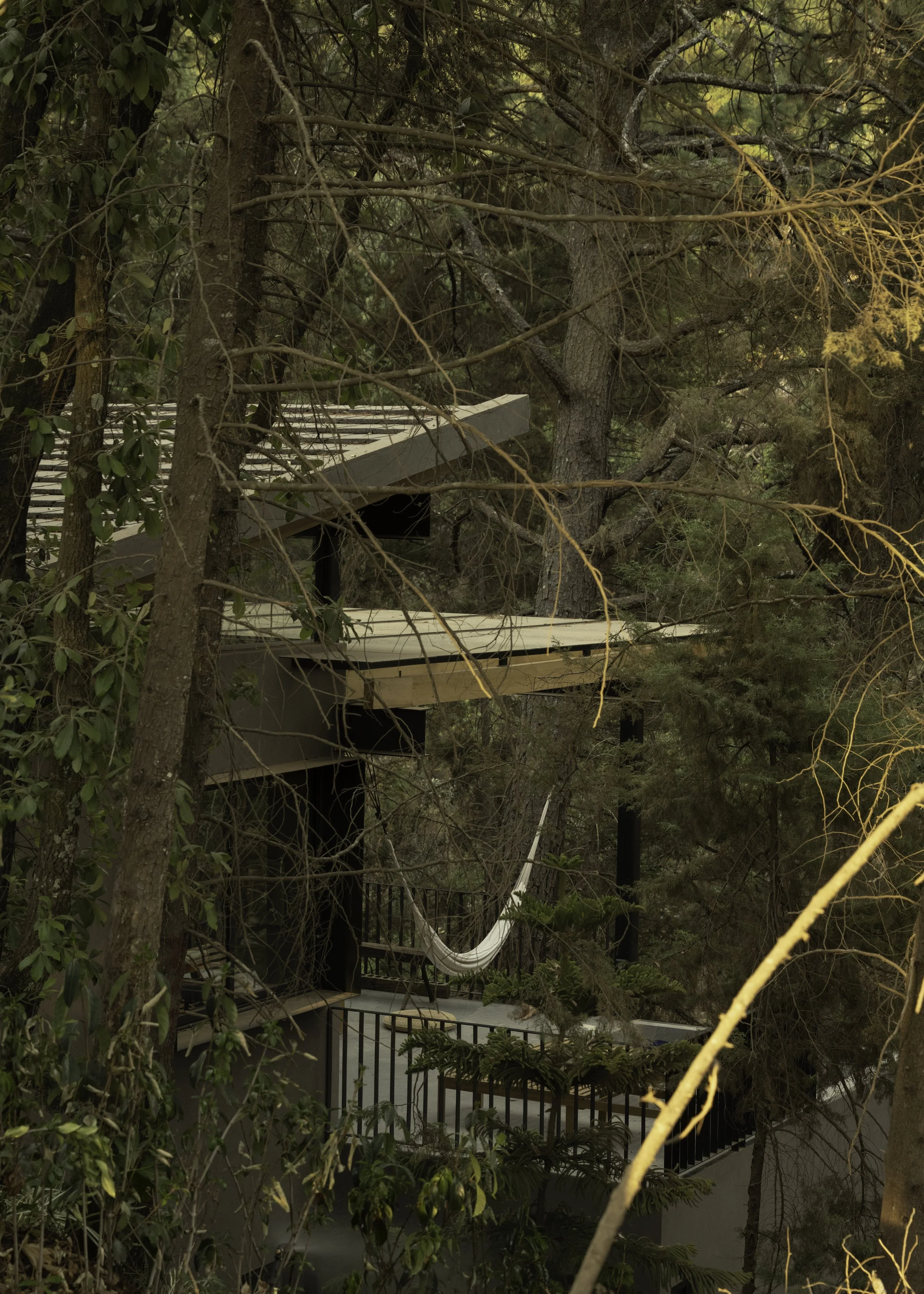 DSC_0986.jpg