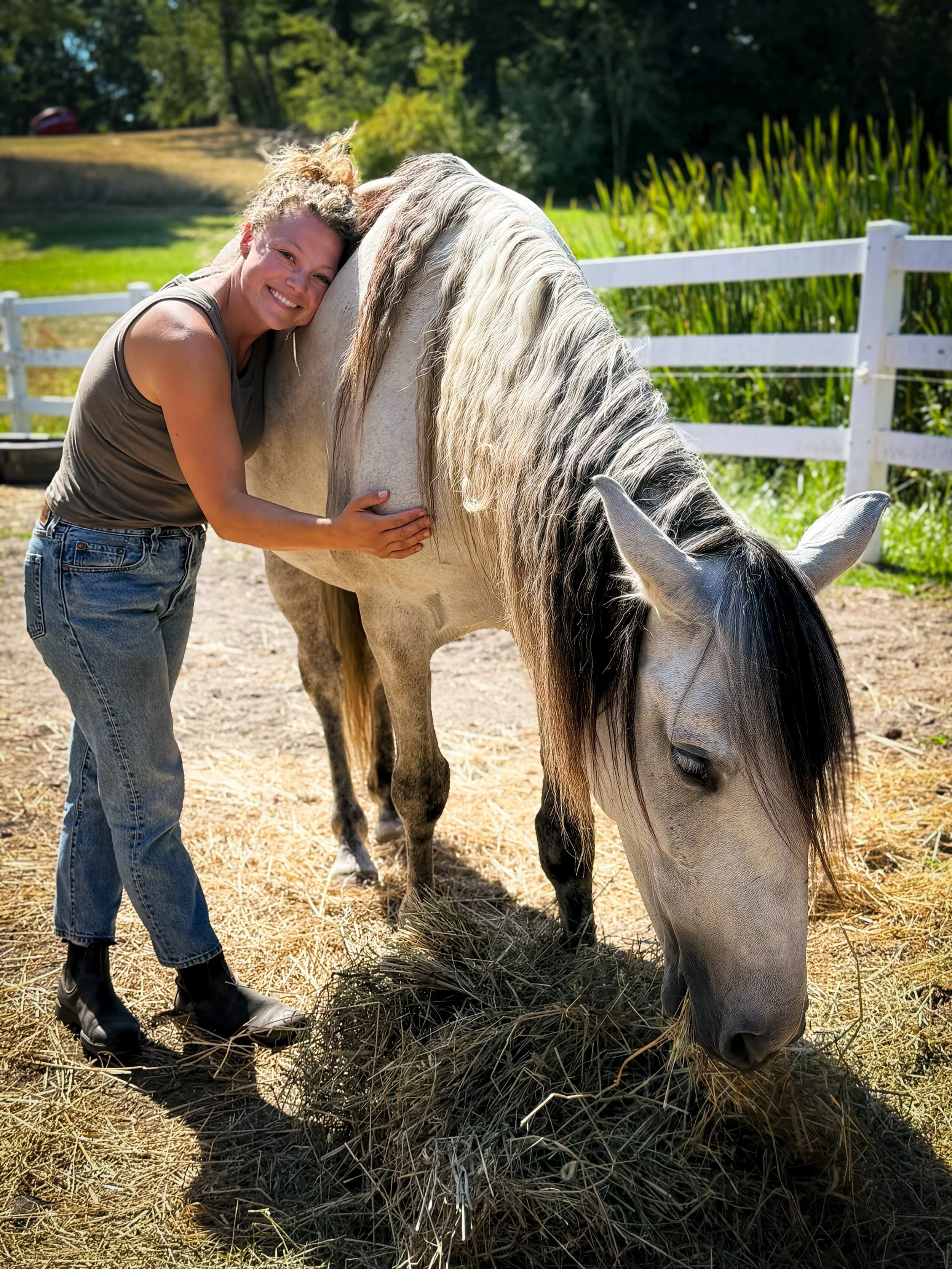 Why horses?