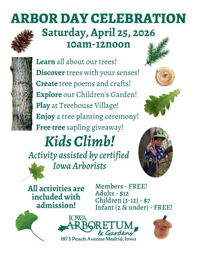 Arbor Day Kids Climb