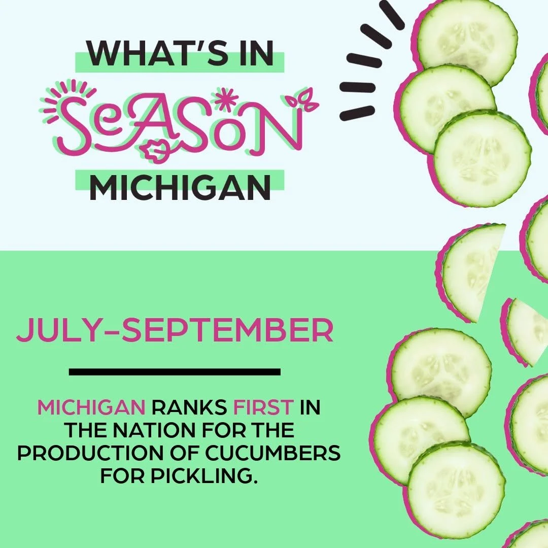 Graphic with text about Michigan's cucumber harvest season, July to September, featuring sliced cucumbers along the right side.