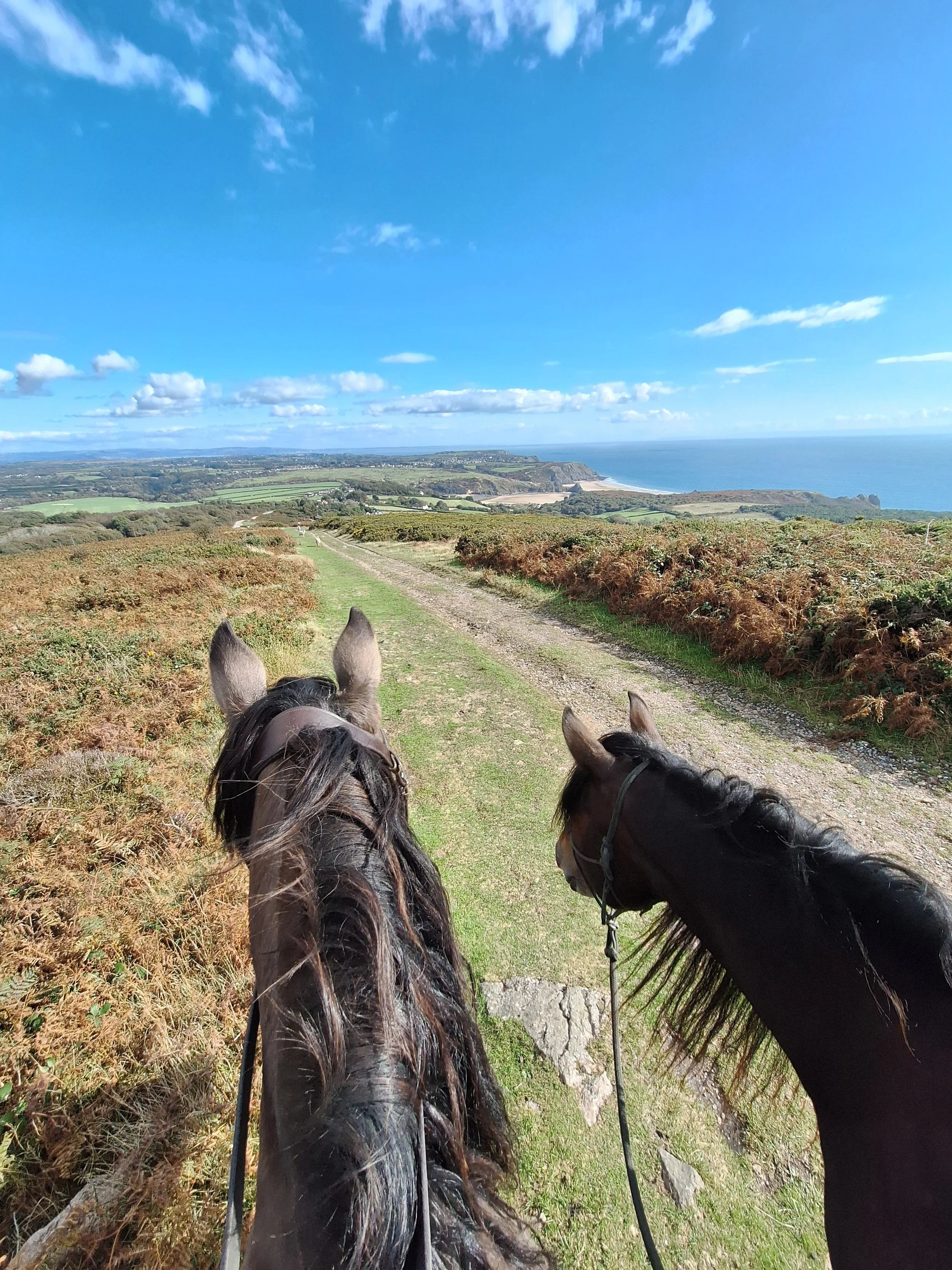 Two horses riding on a grassy trail overlooking a coastal landscape with fields, cliffs, ocean, and blue sky with clouds.