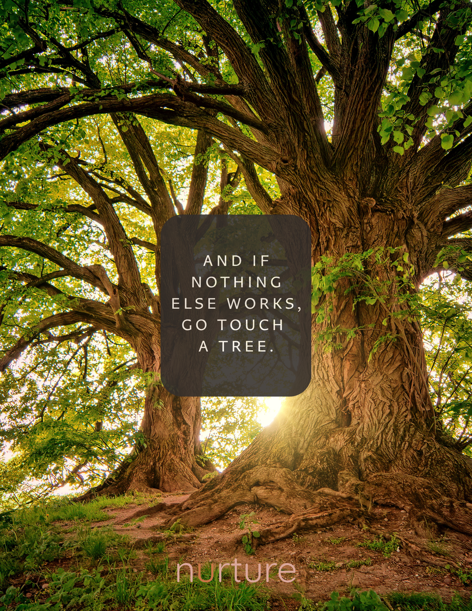 The Science Behind Touching Trees