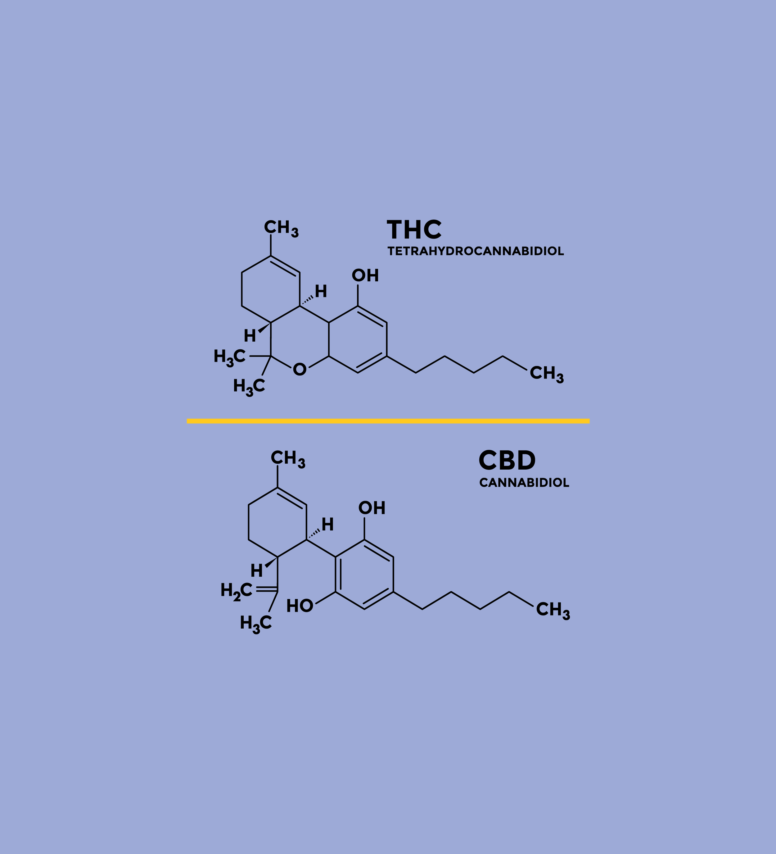 Chemical compound visualization of THC and CBD
