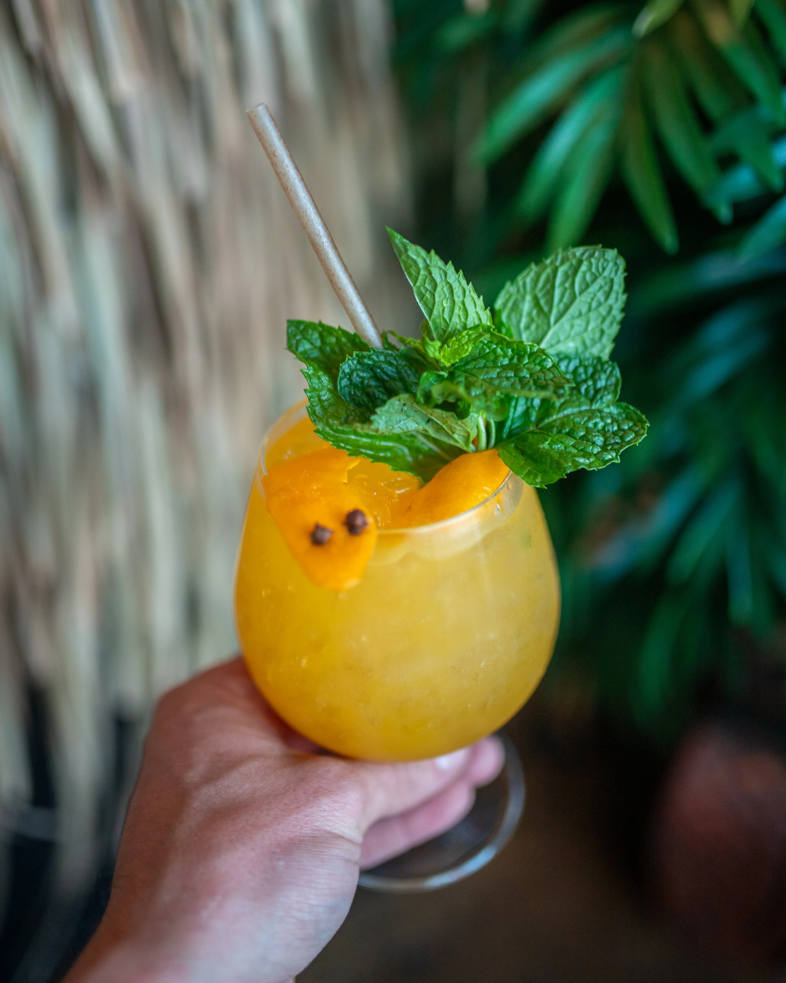 A hand holding a yellow drink garnished with fresh mint leaves, an orange slice, and a cinnamon stick, with a blurred background of green plants.