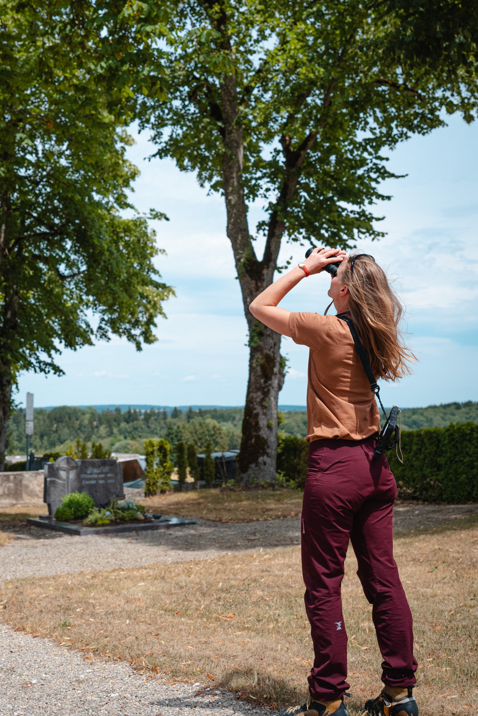 Frau mit Fernglas beobachtet Vögel unter einem Baum auf einem Friedhof.