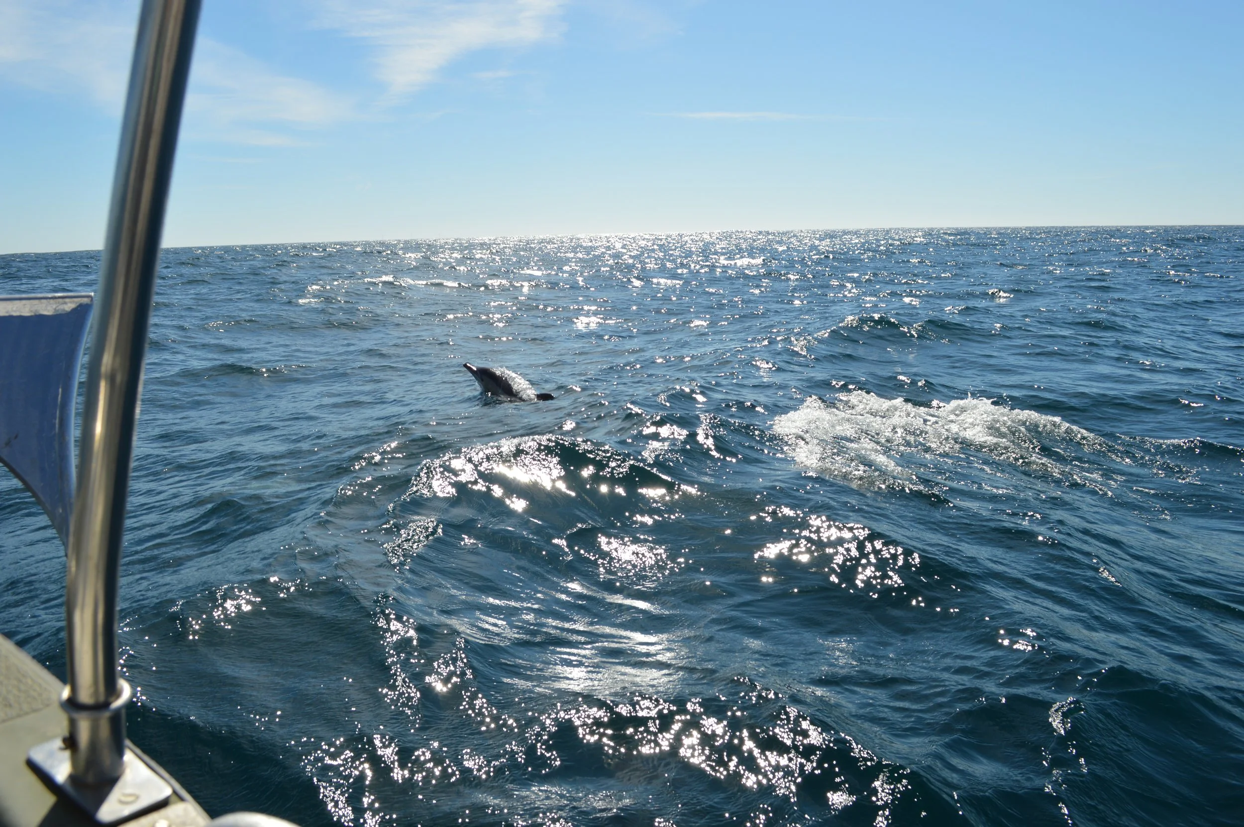 DSC_0128.JPG