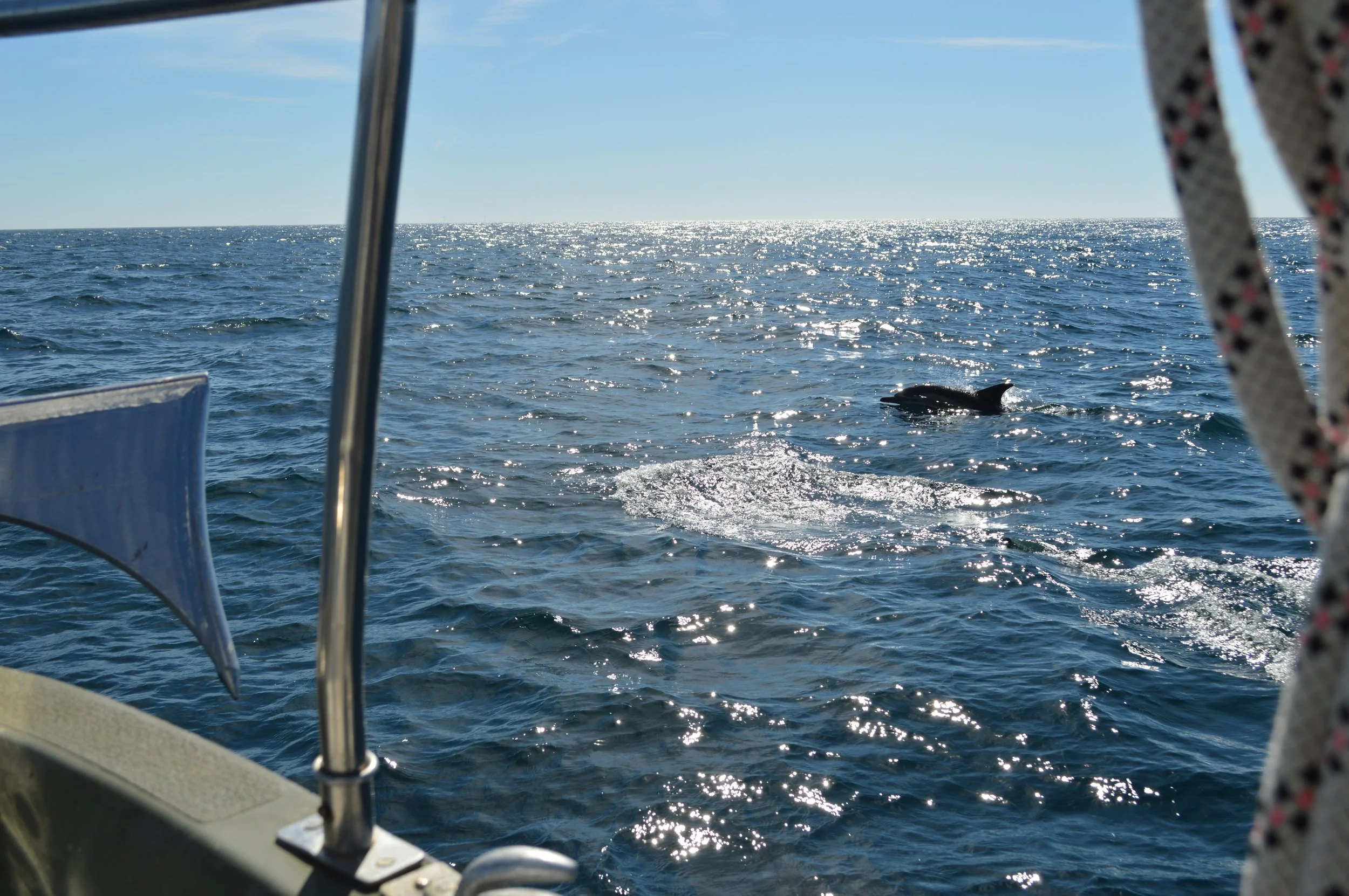 DSC_0083.JPG