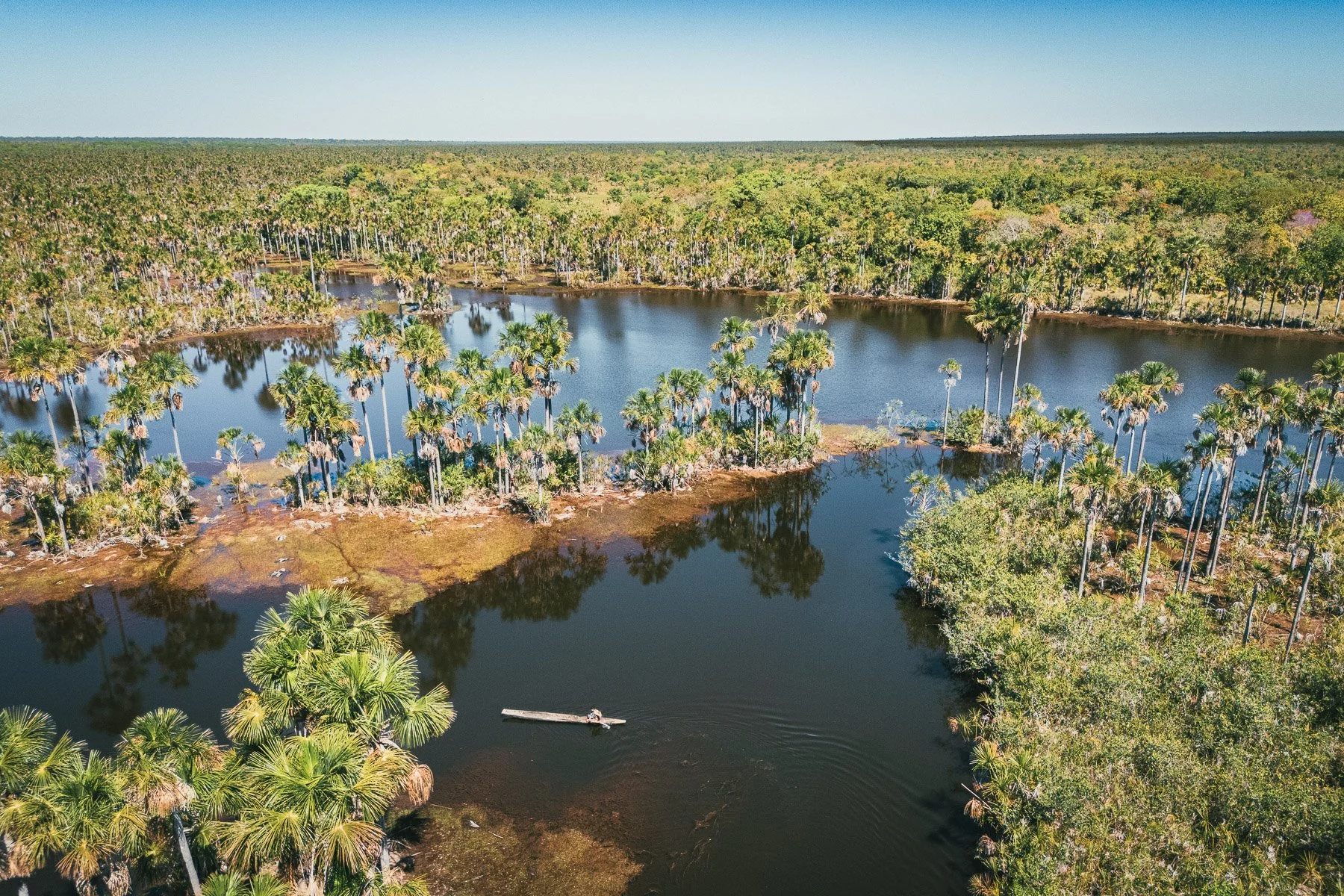 Vue aérienne d'une forêt tropicale avec un étang ou une rivière au centre, entourée de nombreux palmiers et arbres, sous un ciel clair.