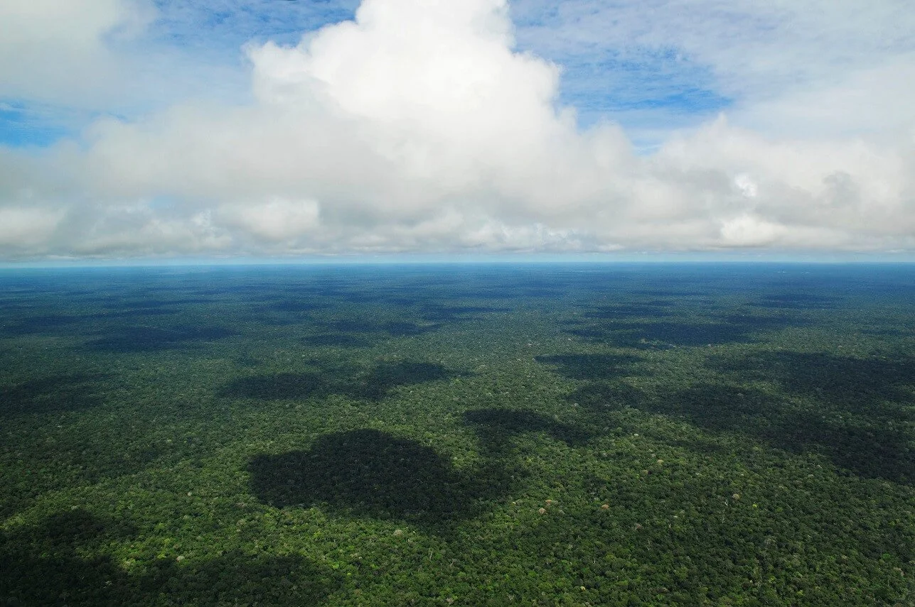 Vaste forêt dense sous un ciel partiellement nuageux, vue aérienne de la végétation tropicale.