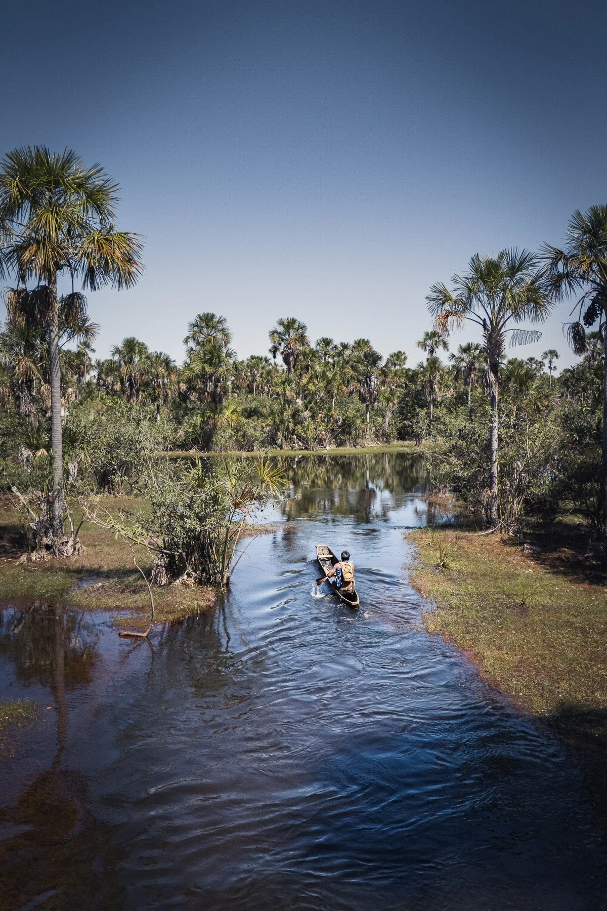 Un homme navigue en bateau sur une rivière entourée de palmiers dans une forêt tropicale sous un ciel clair.