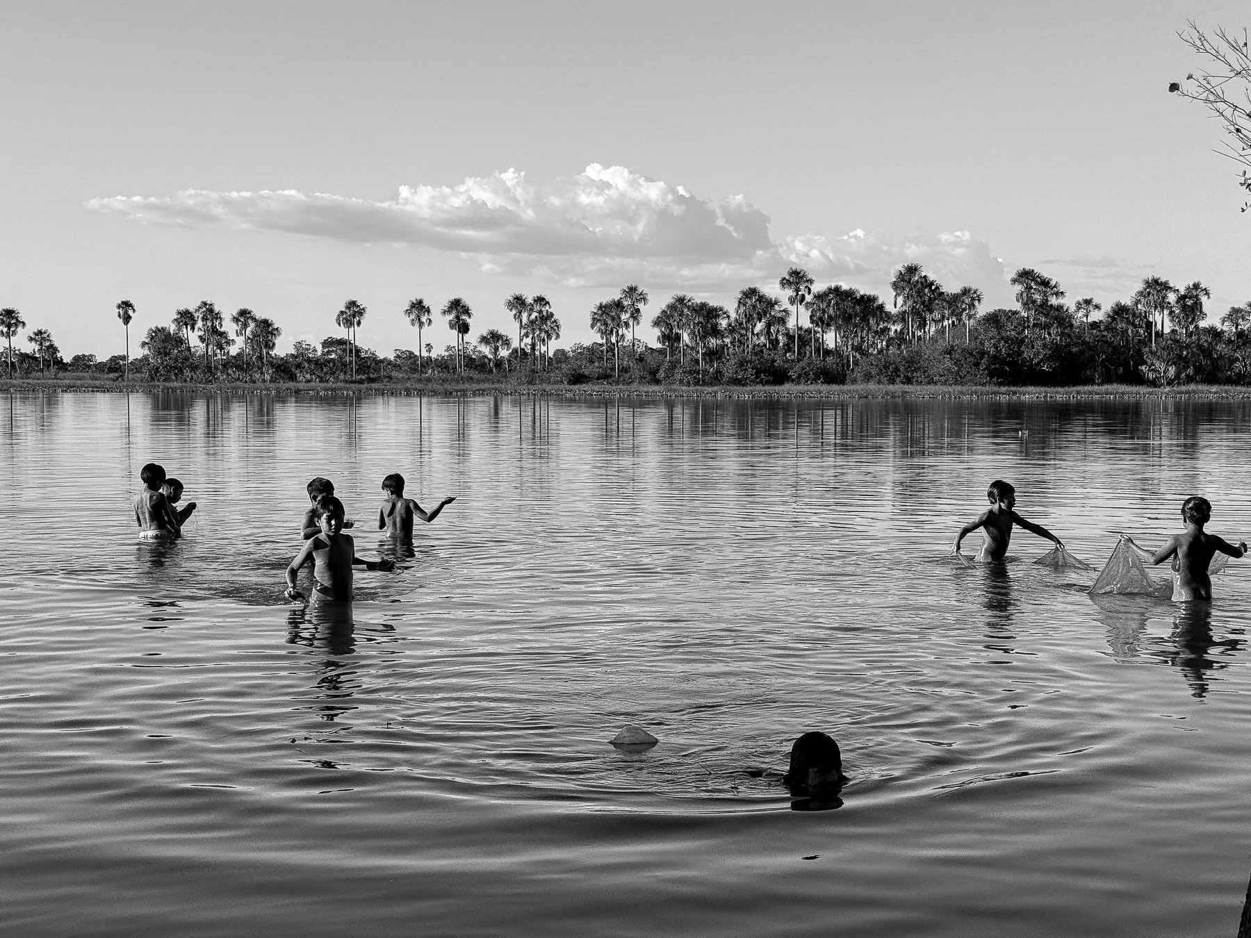 Des enfants jouent et nagent dans une rivière ou un lac avec des arbres en arrière-plan et un ciel nuageux.