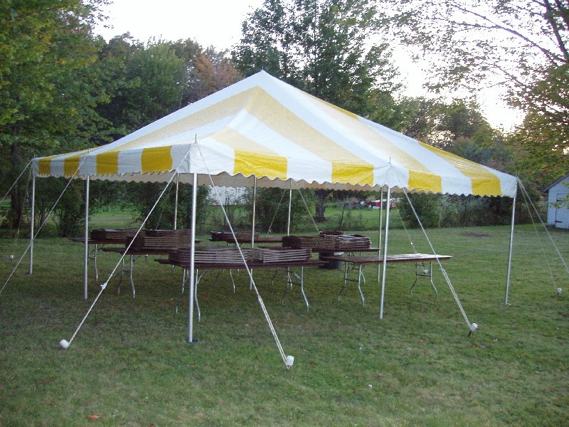 Canopy- Various Sizes Available