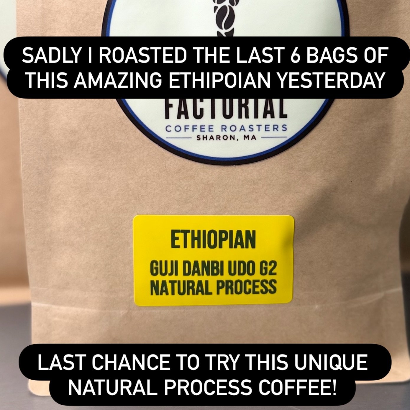 This was my favorite coffee I&rsquo;ve roasted and I am sad to see it go. There are a few natural Ethiopians available but they are of lesser quality. I am going to wait to bring something in when a higher grade becomes available. Order these last fe