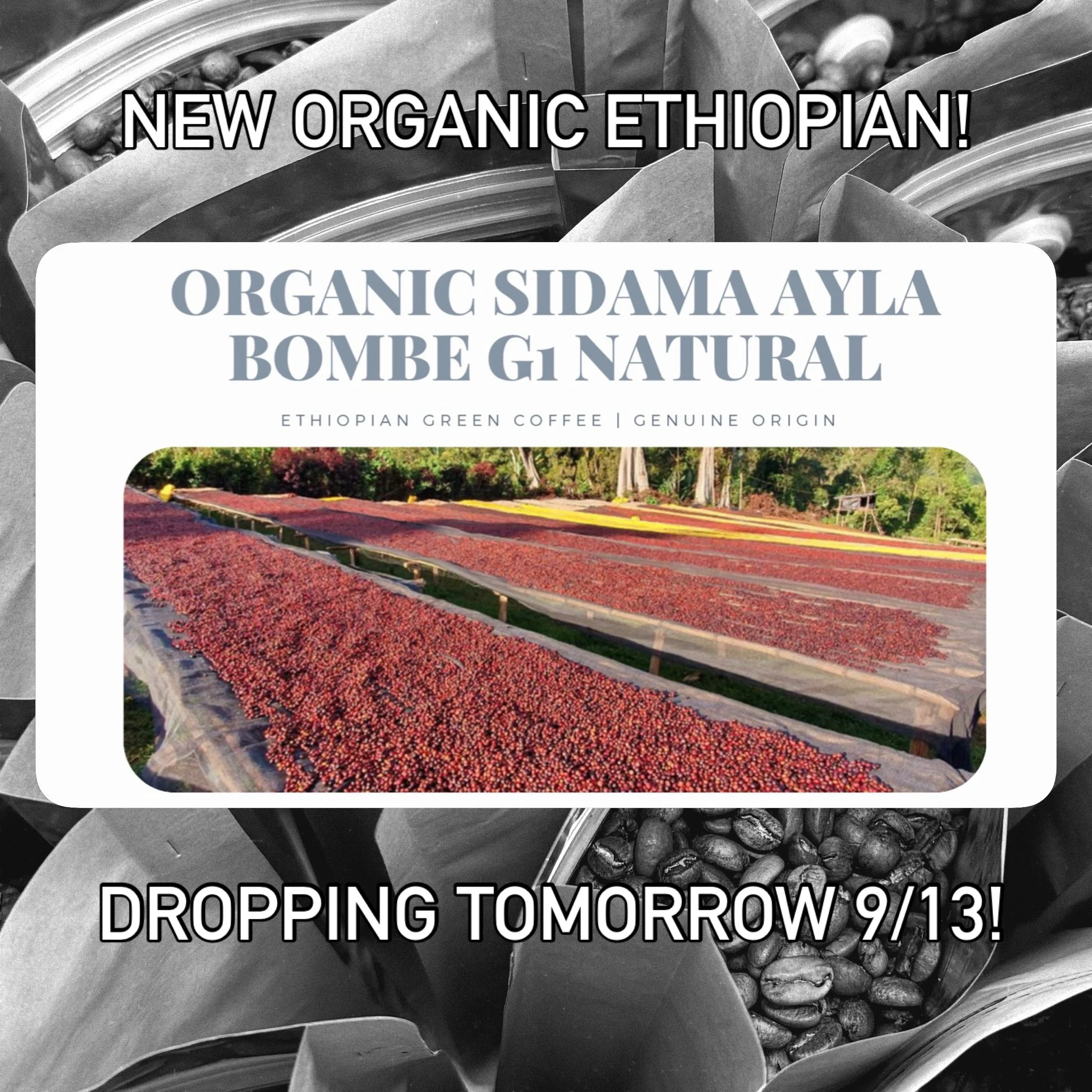 We waited to replace our Ethiopian until something special became available and this is most definitely it. A grade 1 organic natural process Ethiopian coffee that&rsquo;s sure to be an instant classic. Order tomorrow 9/13 on our website or grab a ba