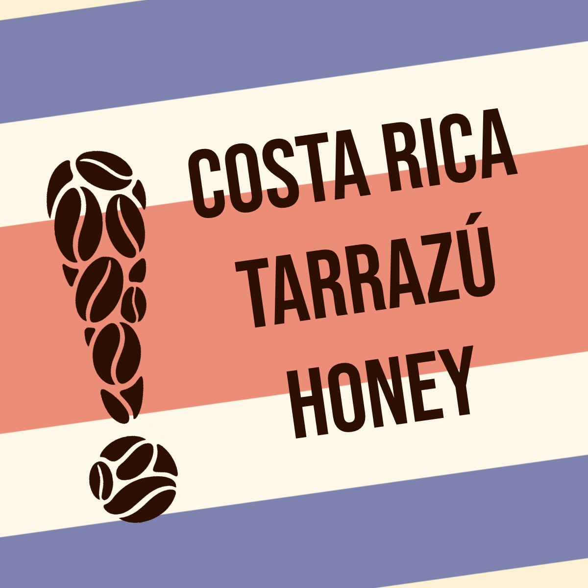 Costa Rica Tarrazú San Diego Jaguar Honey (12 ounce)