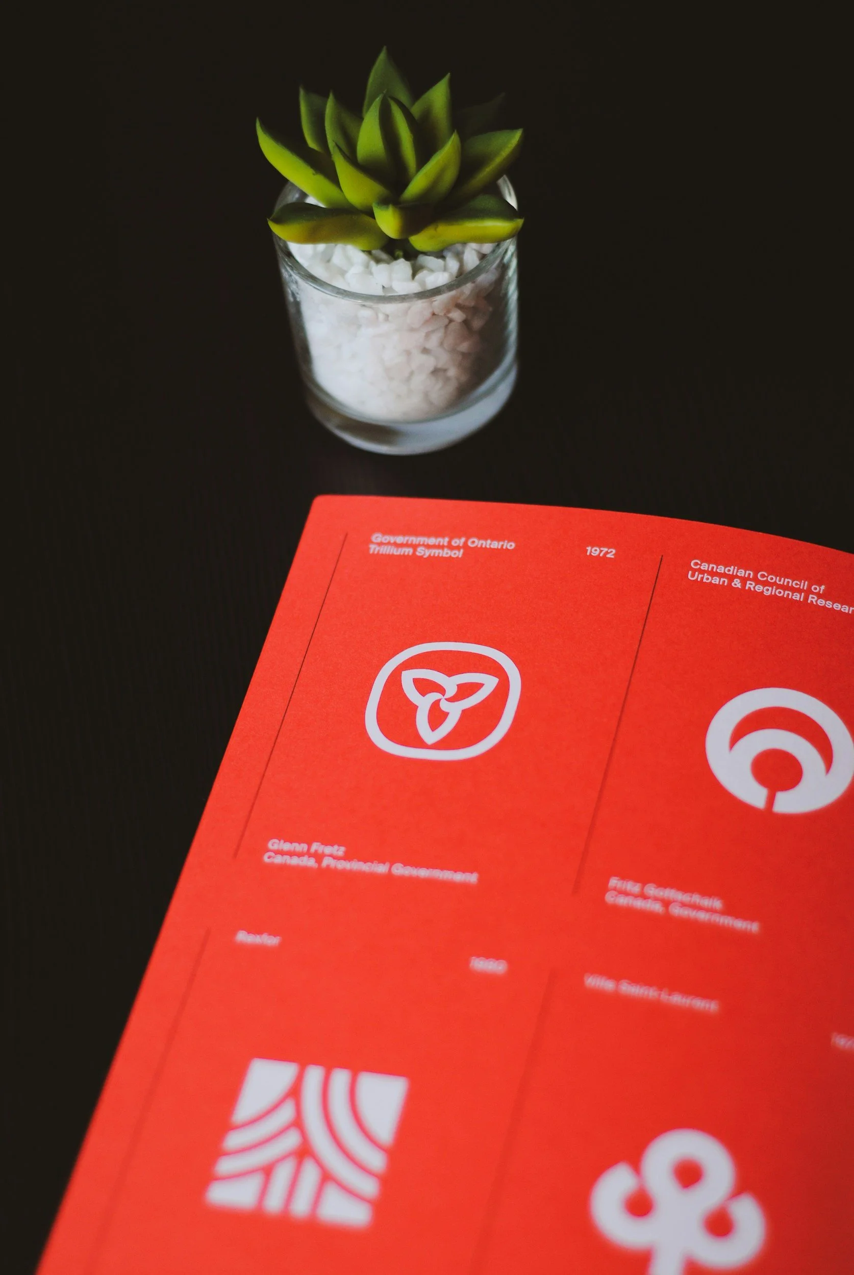 Brand Identity