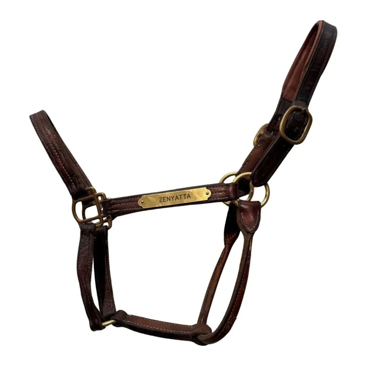 Zenyatta Championship Halter
