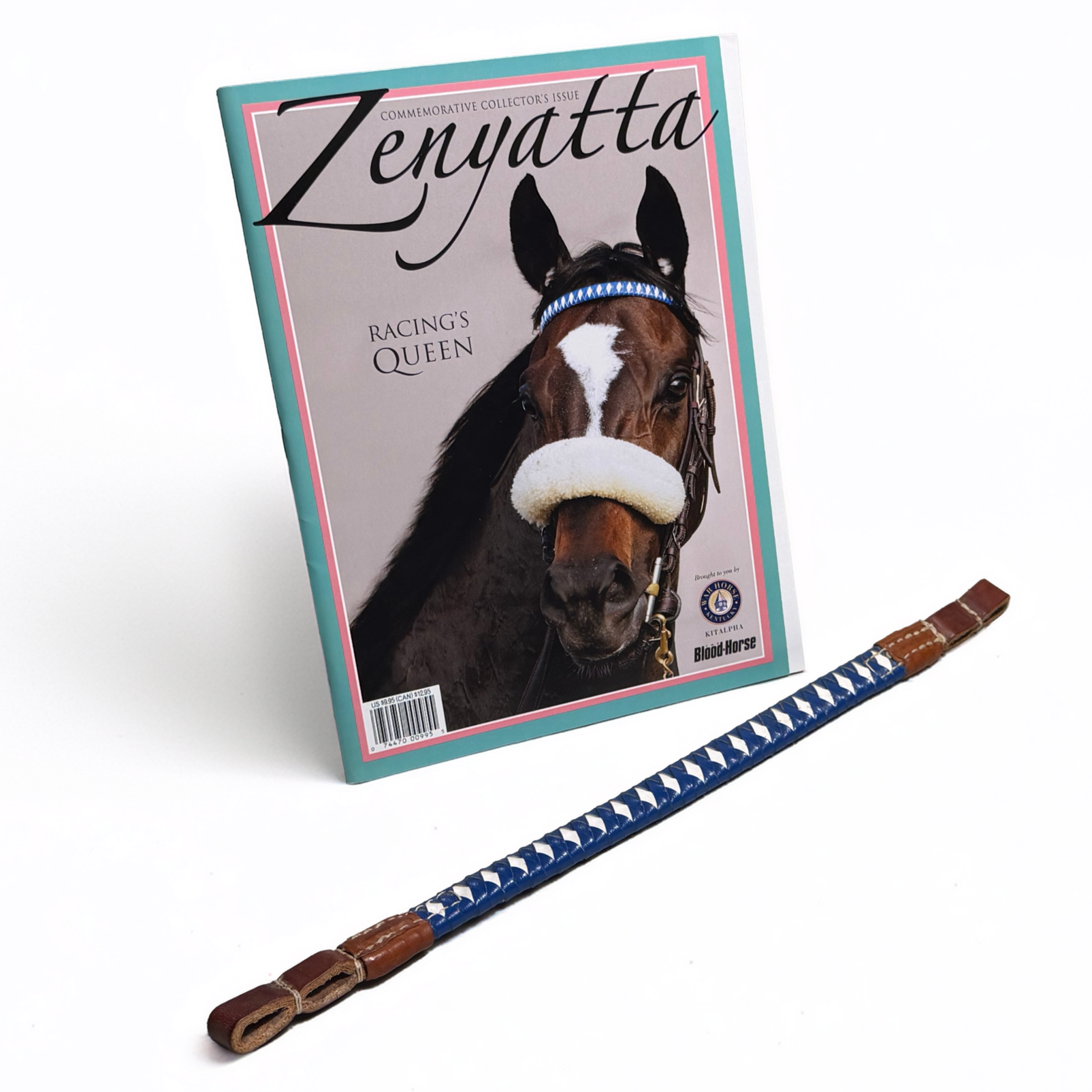 Zenyatta 2009 Race-Worn Browband