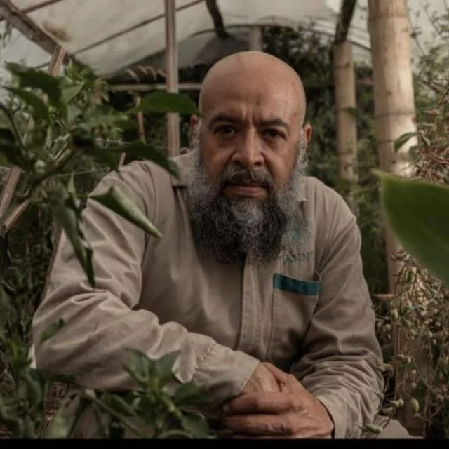 Un hombre calvo y con barba, sentado entre plantas verdes en un invernadero.