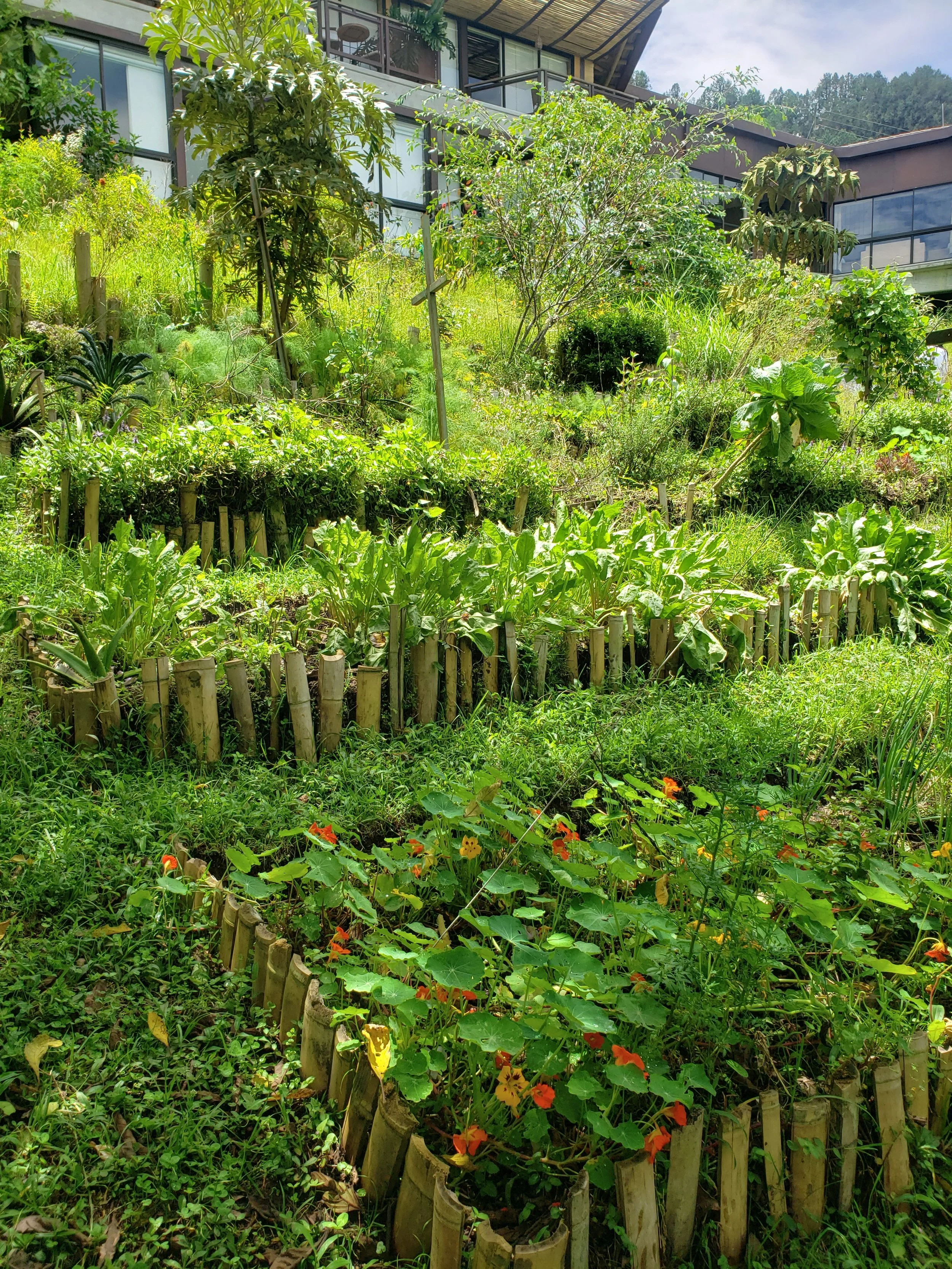 Un jardín de permacultura con diversas plantas y flores, rodeado por una pequeña valla de bambú.